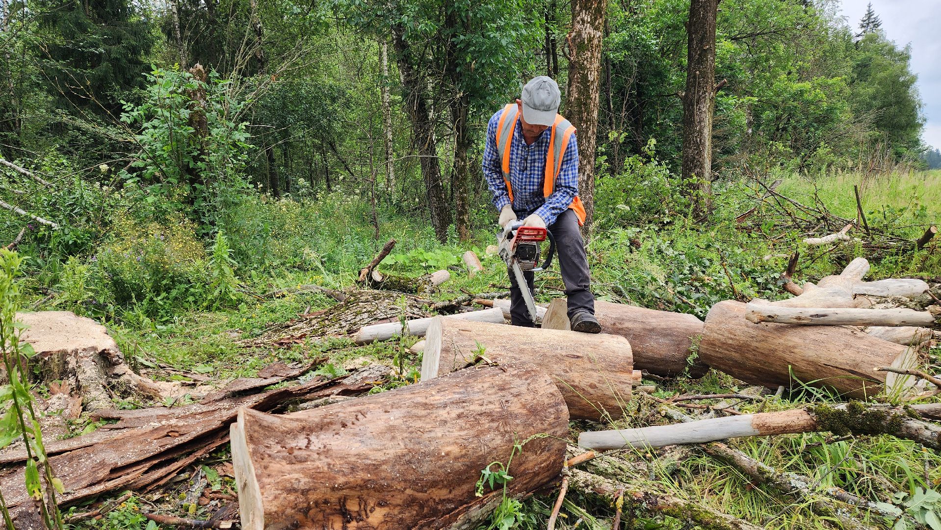 истра, дороги, расчистка,
