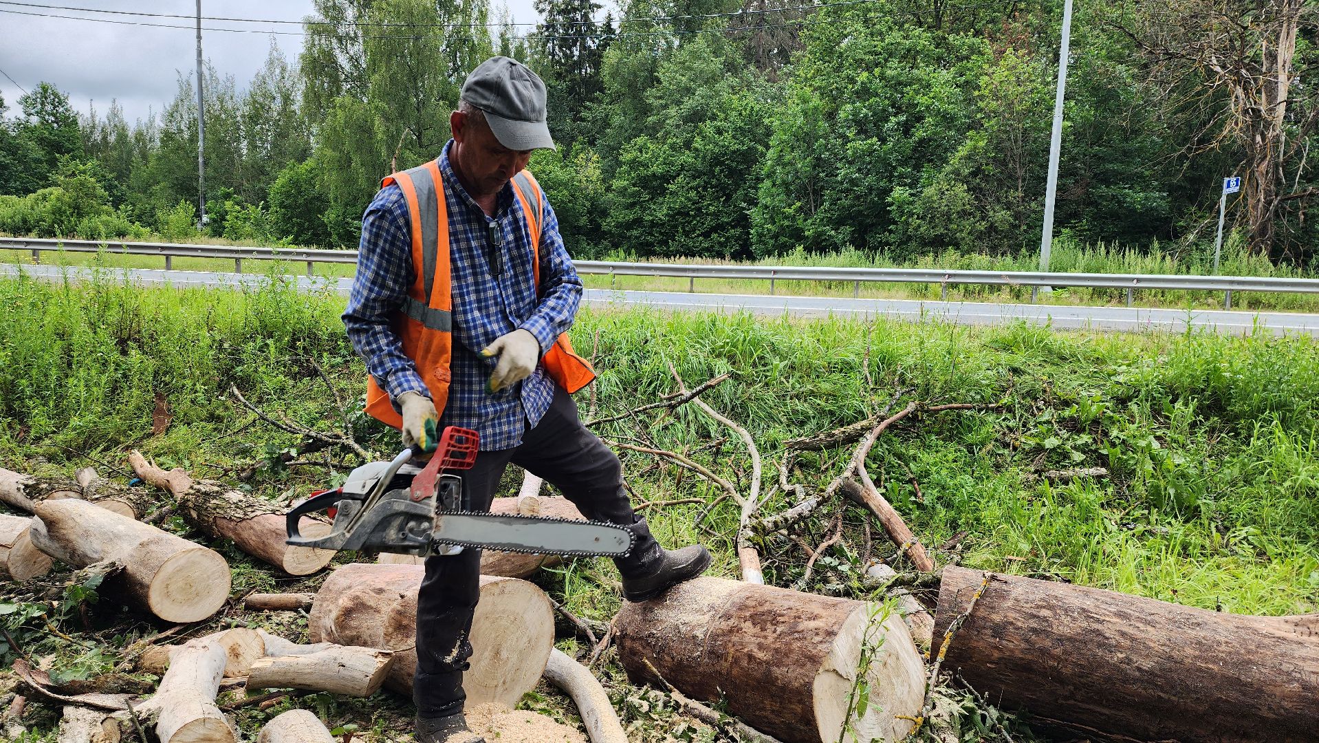 истра, дороги, расчистка,