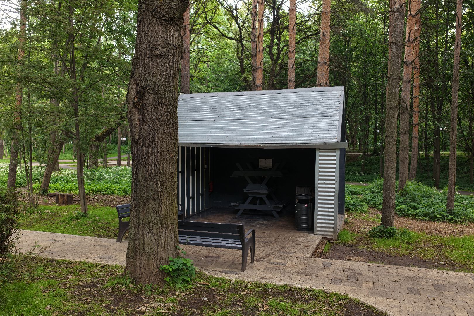 видео с коптера, парк имени льва толстого, парк химки, благоустройство парка химки,