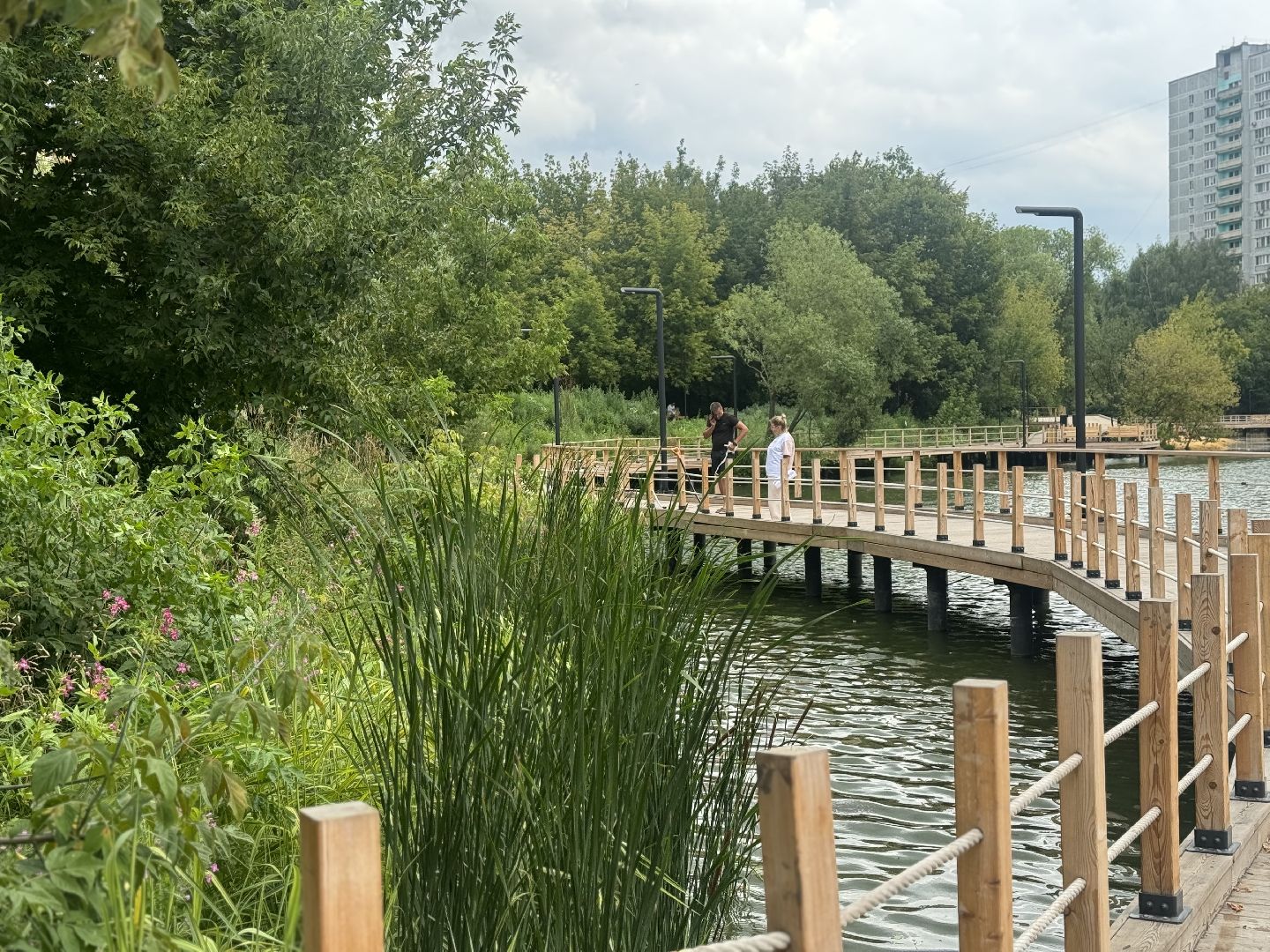 малый тарычевский пруд, ленинский городской округ, благоустойство, высадка растений,