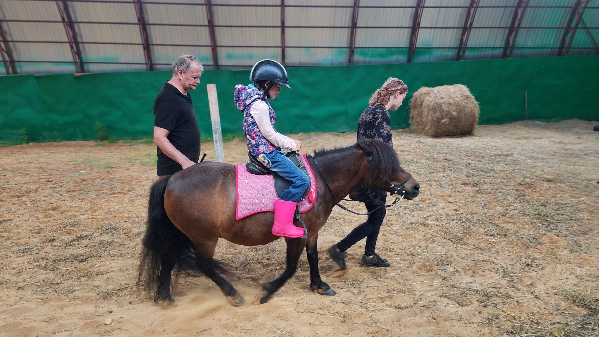 волоколамск, опекунство, приемные дети, лошади,
