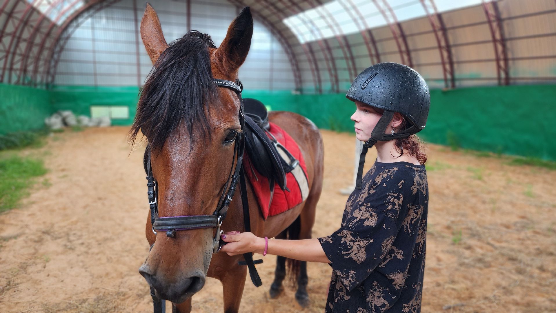 волоколамск, опекунство, приемные дети, лошади,