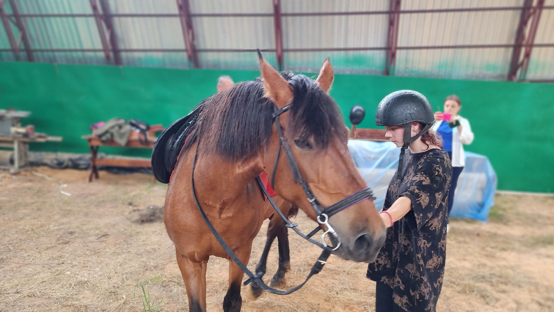 волоколамск, опекунство, приемные дети, лошади,