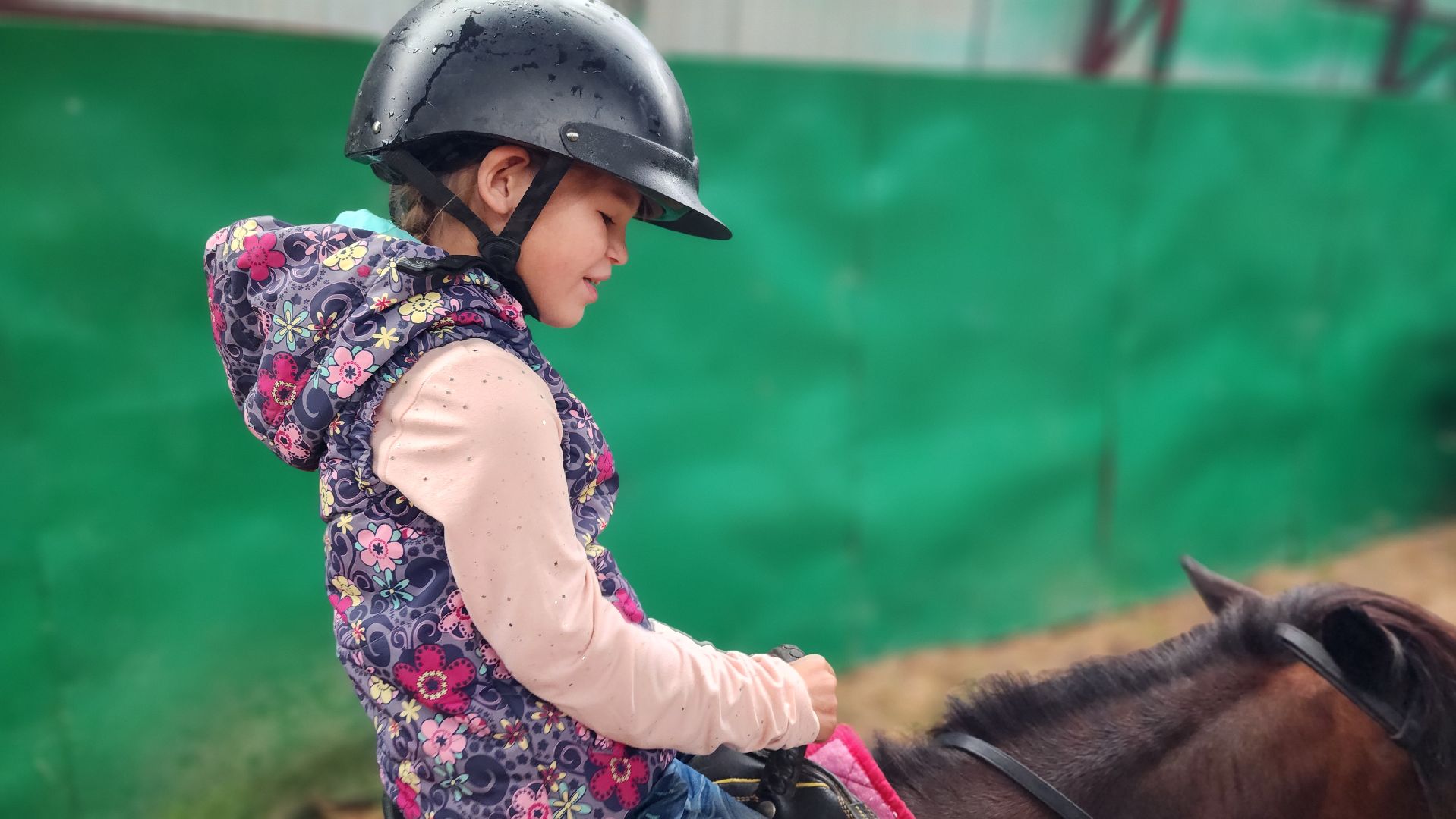волоколамск, опекунство, приемные дети, лошади,