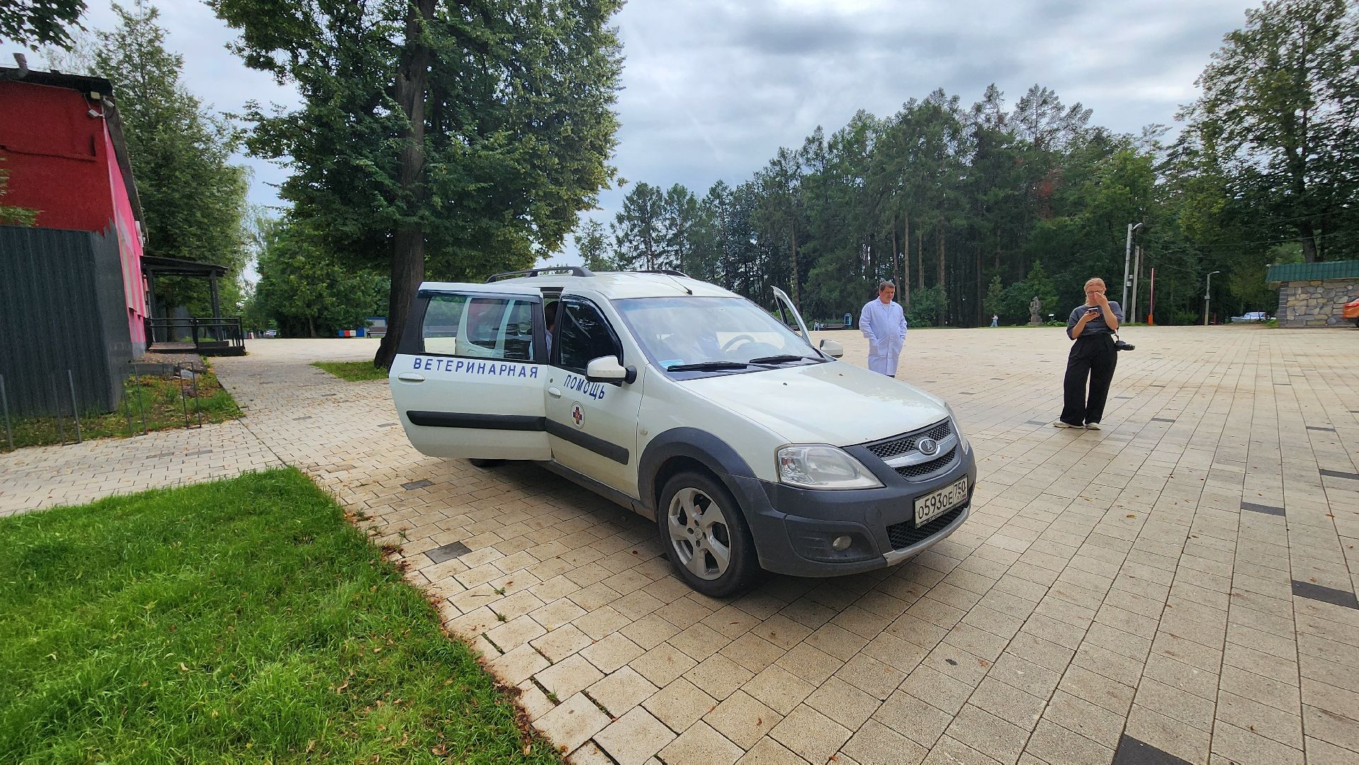 солнечногорск, городской парк, вакцинация, бешенство, домашние животные,