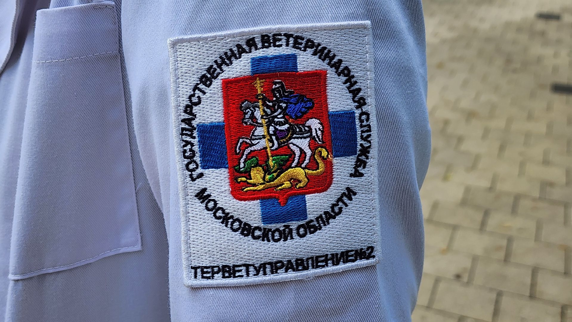 солнечногорск, городской парк, вакцинация, бешенство, домашние животные,