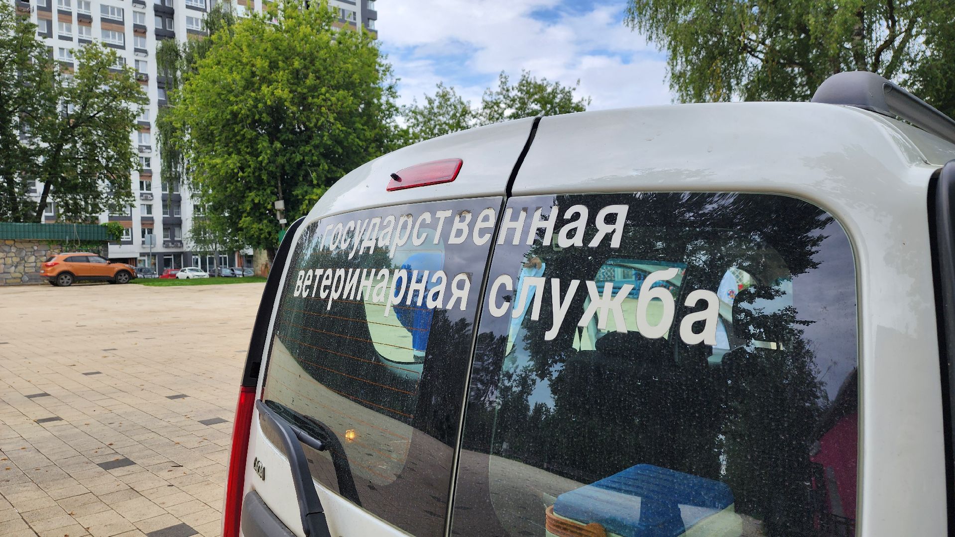 солнечногорск, городской парк, вакцинация, бешенство, домашние животные,