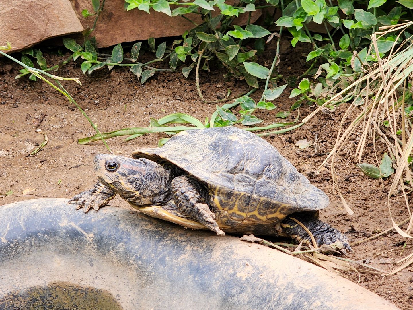 Подольск, школа 29 имени забродина, профильные классы, ветеринарный класс,набор учеников,