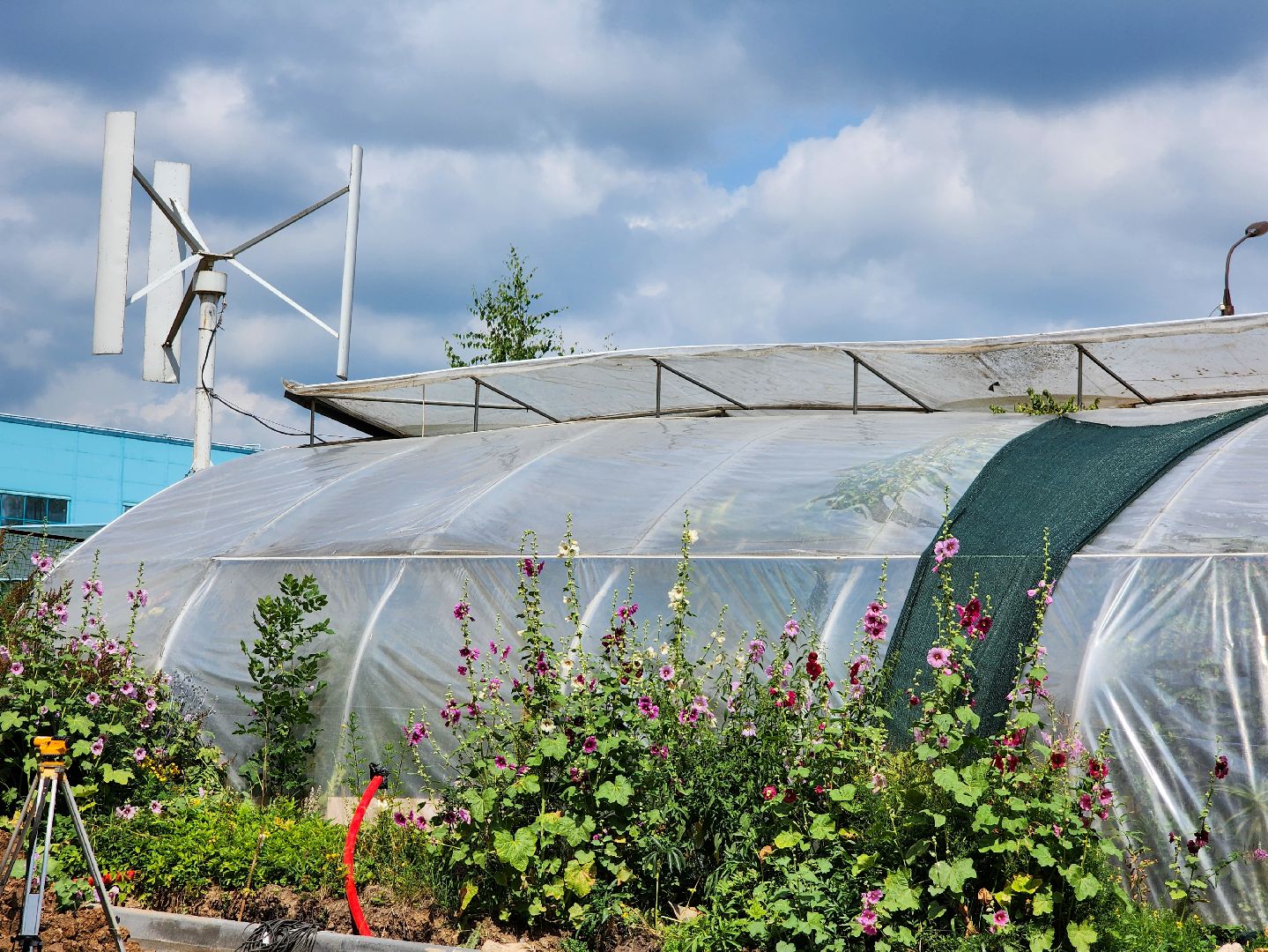 Подольск, школа 29 имени забродина, профильные классы, ветеринарный класс,набор учеников,