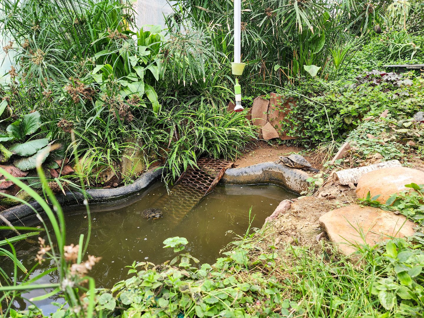 Подольск, школа 29 имени забродина, профильные классы, ветеринарный класс,набор учеников,