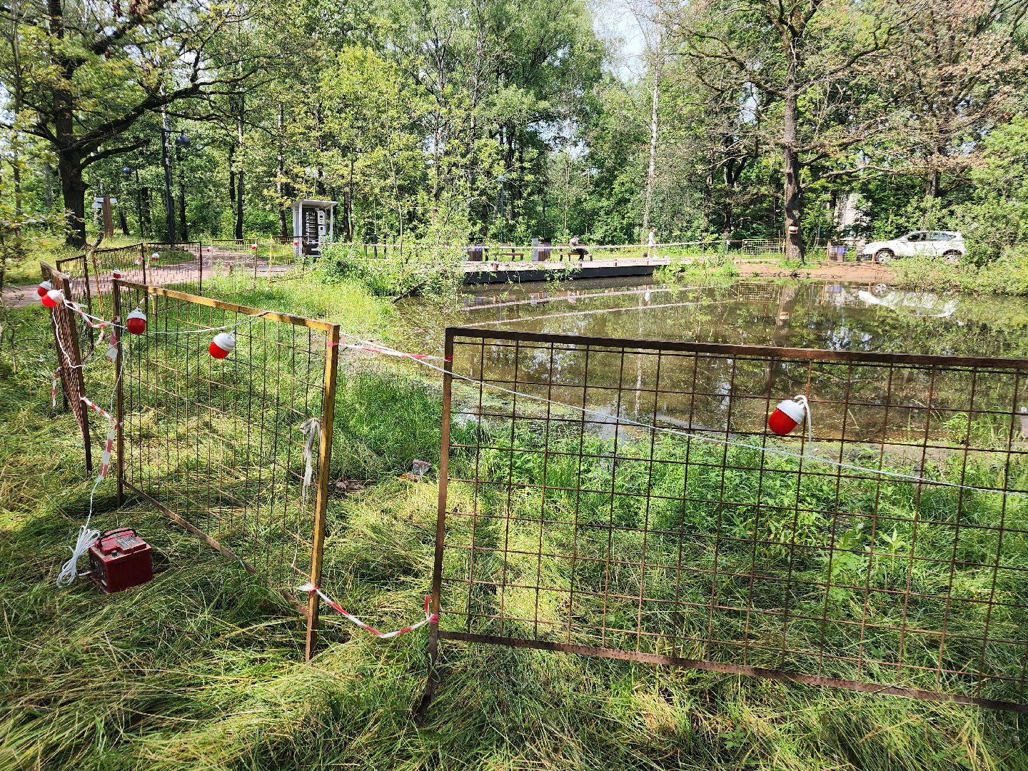 фрязино, благоустройство, лесопарк, очистка пруда,