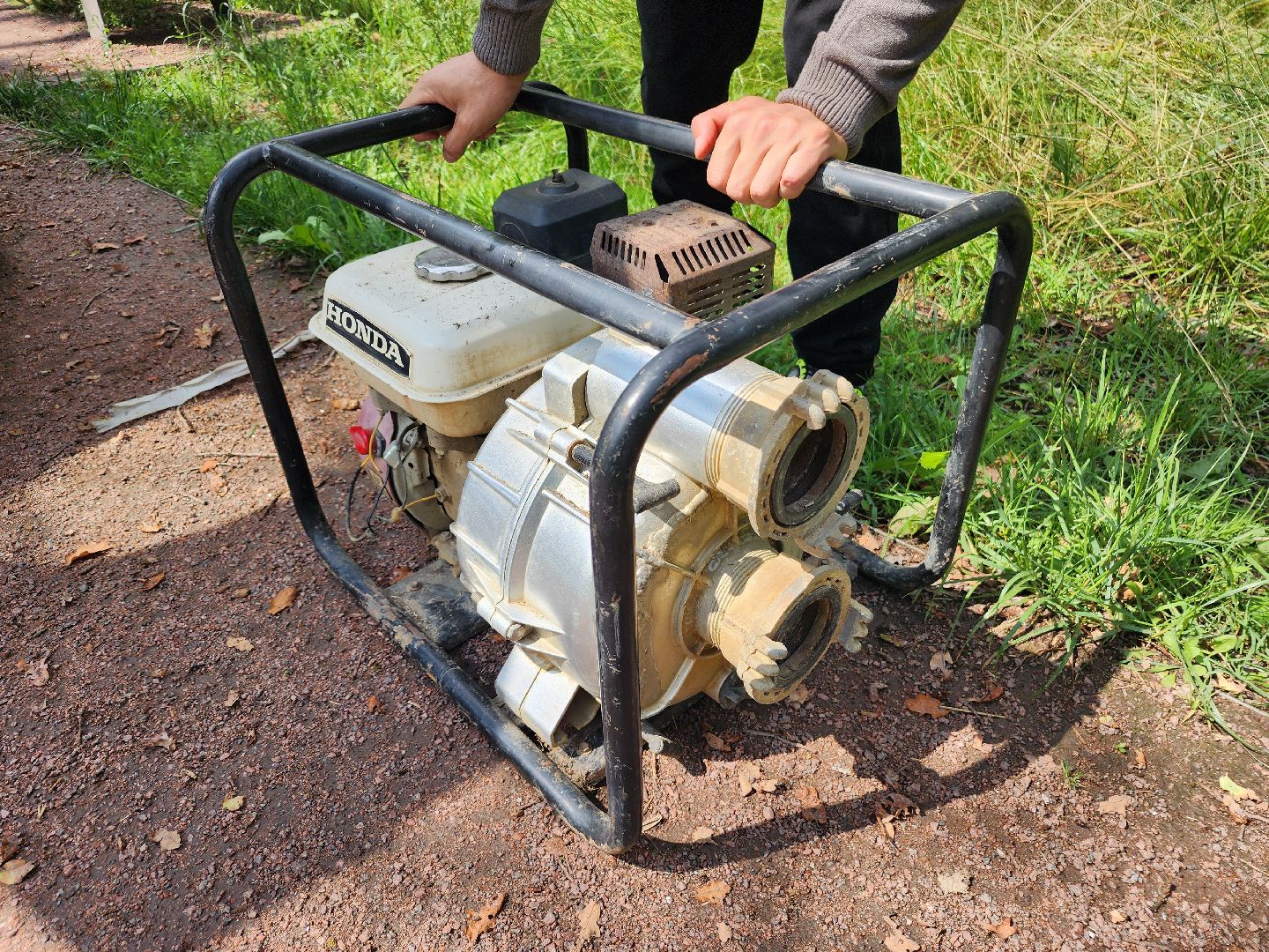 фрязино, благоустройство, лесопарк, очистка пруда,