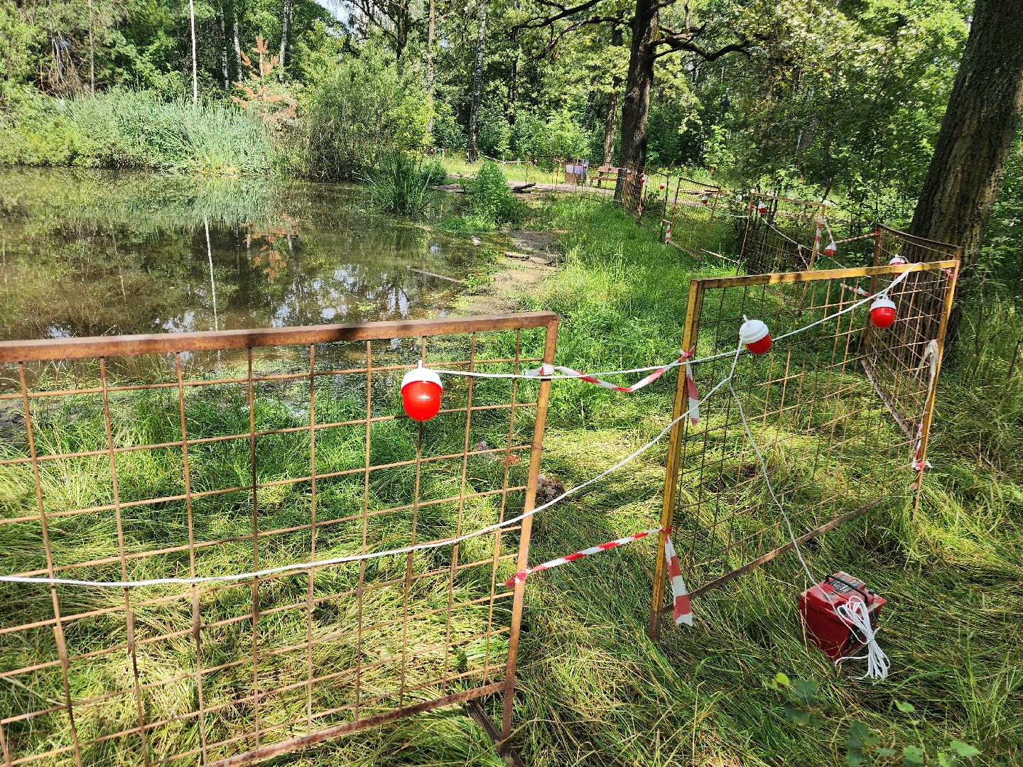 фрязино, благоустройство, лесопарк, очистка пруда,