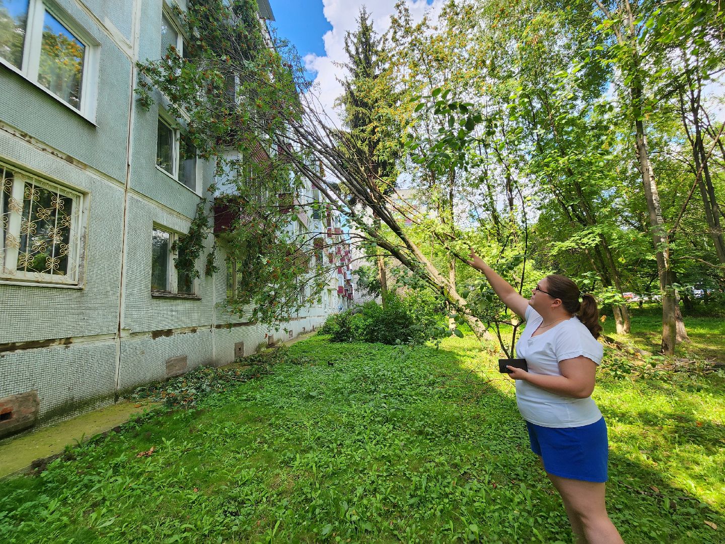 чехов, вокзальная площадь 2, аварийные деревья, удаление упавших деревьев, сухостой, содержание придомовой территории, мбу чеховское благоустройство, уборка веток,содержание двора,добродел,
