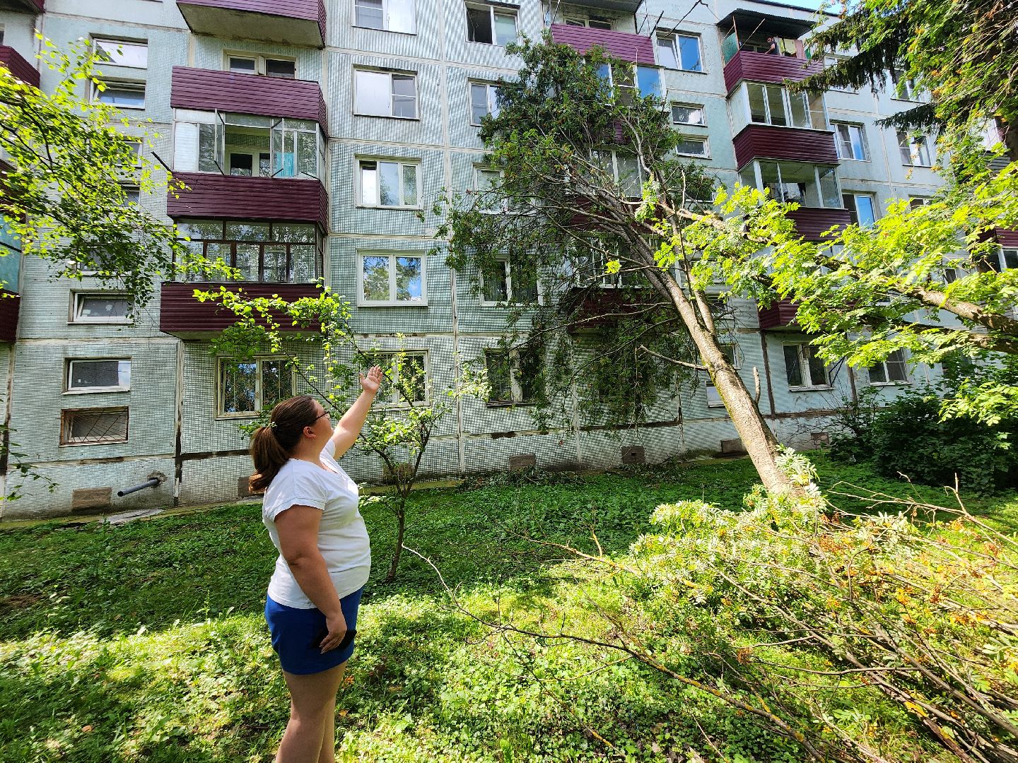 чехов, вокзальная площадь 2, аварийные деревья, удаление упавших деревьев, сухостой, содержание придомовой территории, мбу чеховское благоустройство, уборка веток,содержание двора,добродел,