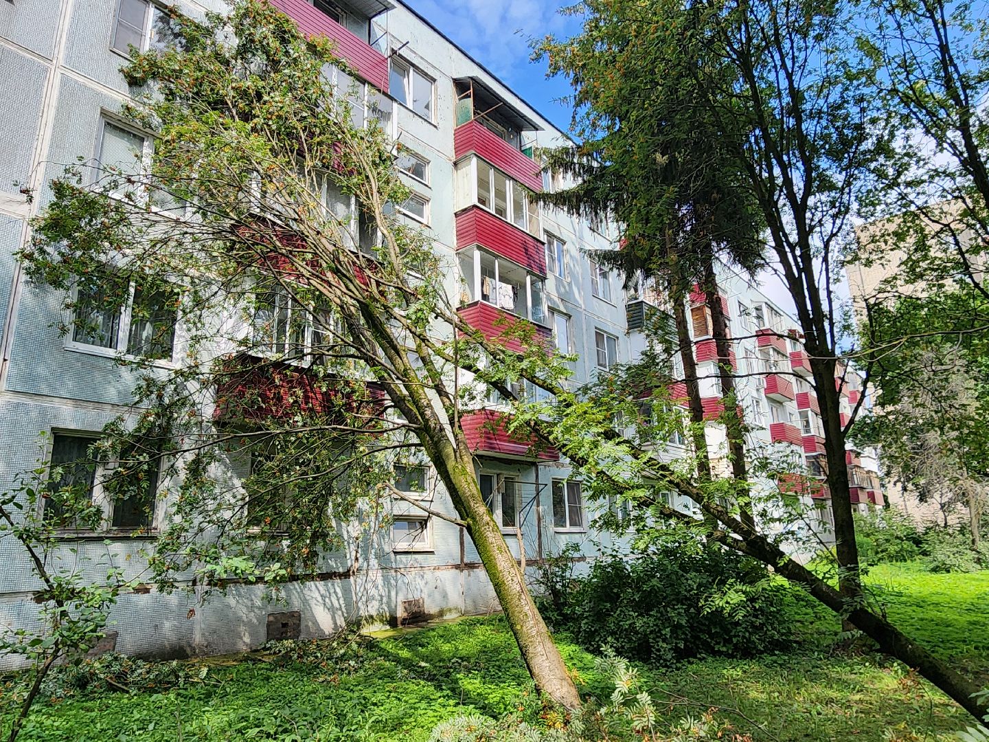 чехов, вокзальная площадь 2, аварийные деревья, удаление упавших деревьев, сухостой, содержание придомовой территории, мбу чеховское благоустройство, уборка веток,содержание двора,добродел,