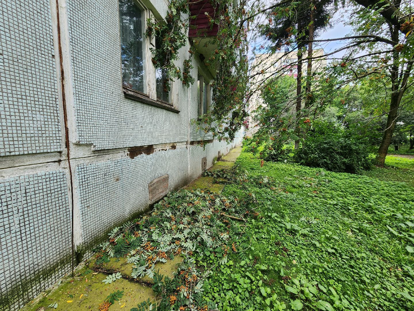 чехов, вокзальная площадь 2, аварийные деревья, удаление упавших деревьев, сухостой, содержание придомовой территории, мбу чеховское благоустройство, уборка веток,содержание двора,добродел,