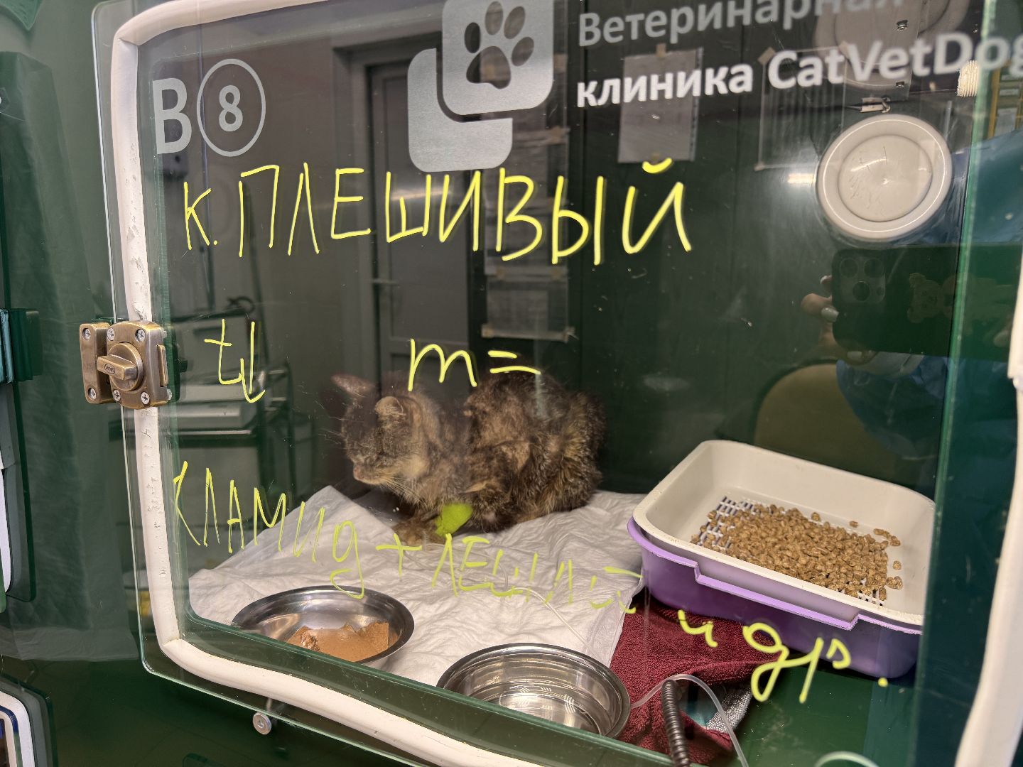 Спасатели из Голицыно, Спасение кота, Кот попросил помощи, псч 244,