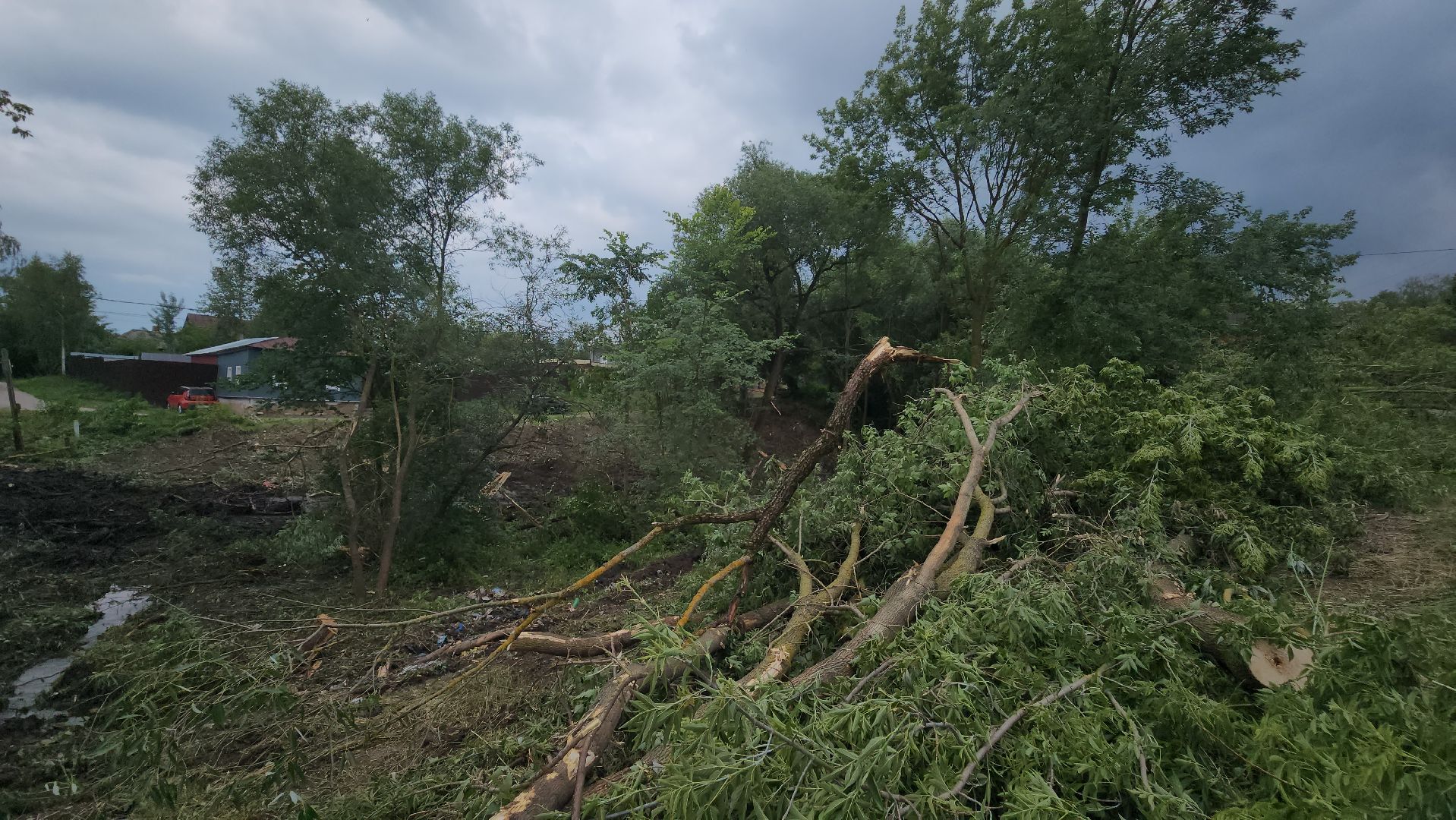 Зарайск, Благоустройство, Расчистка оврага,Монастырка,