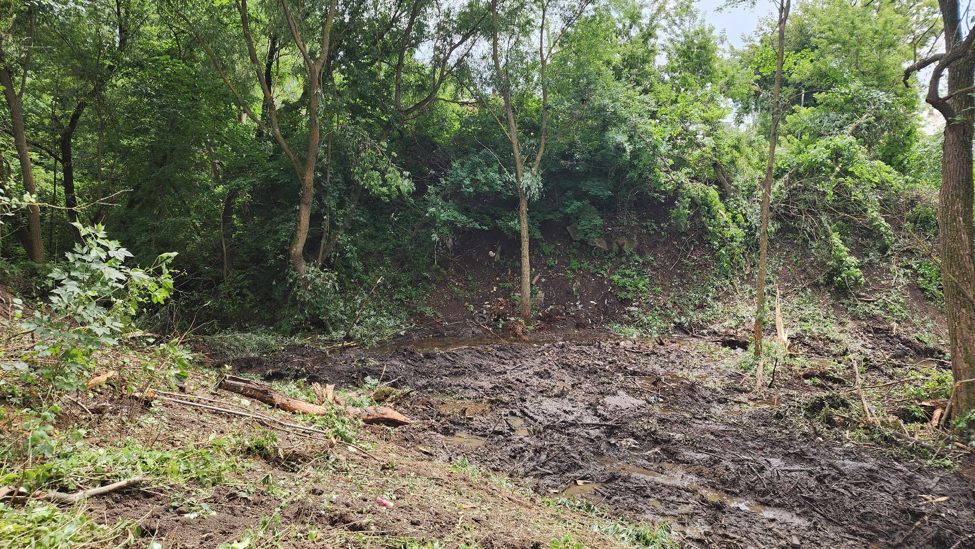 Зарайск, Благоустройство, Расчистка оврага,Монастырка,