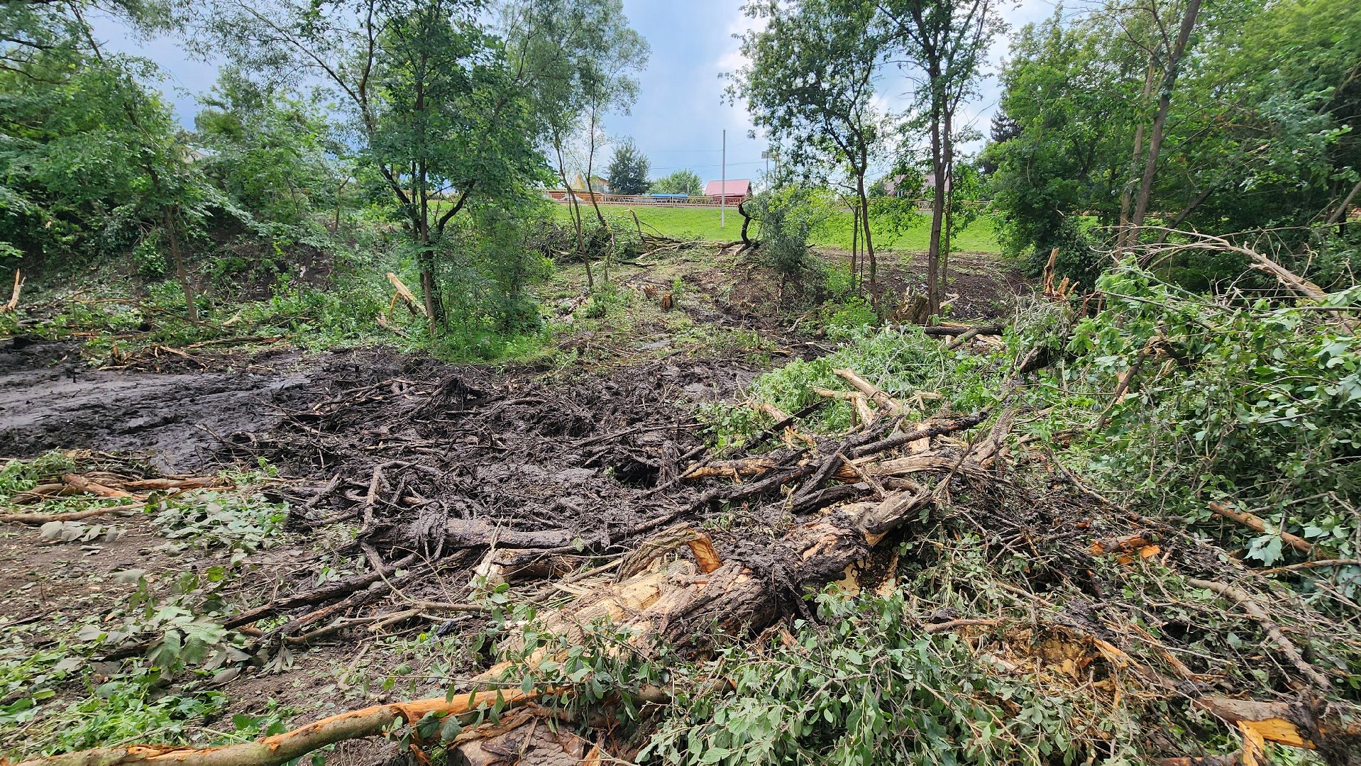 Зарайск, Благоустройство, Расчистка оврага,Монастырка,