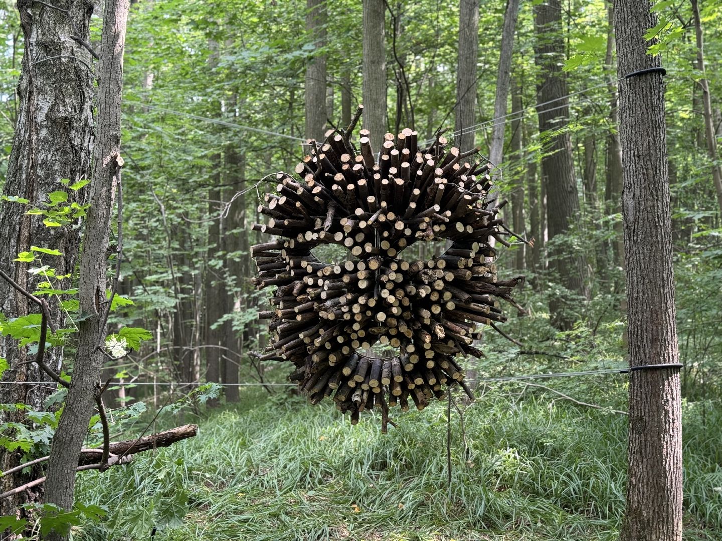фестиваль заповедное, музей заповедник горки ленинские, художники россии,