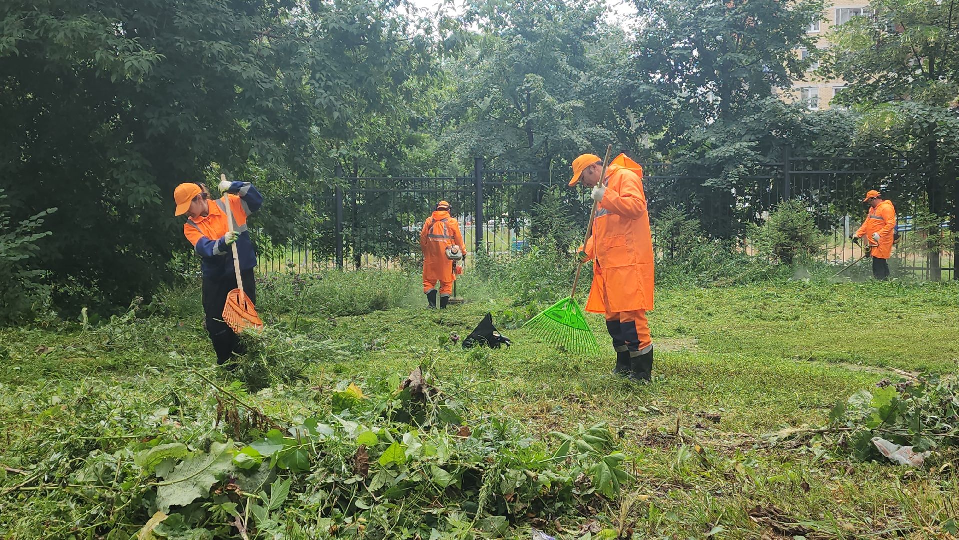 вертикалки, пушкино, покос травы, уборка мусора, берег реки, коммунальная служба, экологический активизм, жители города,