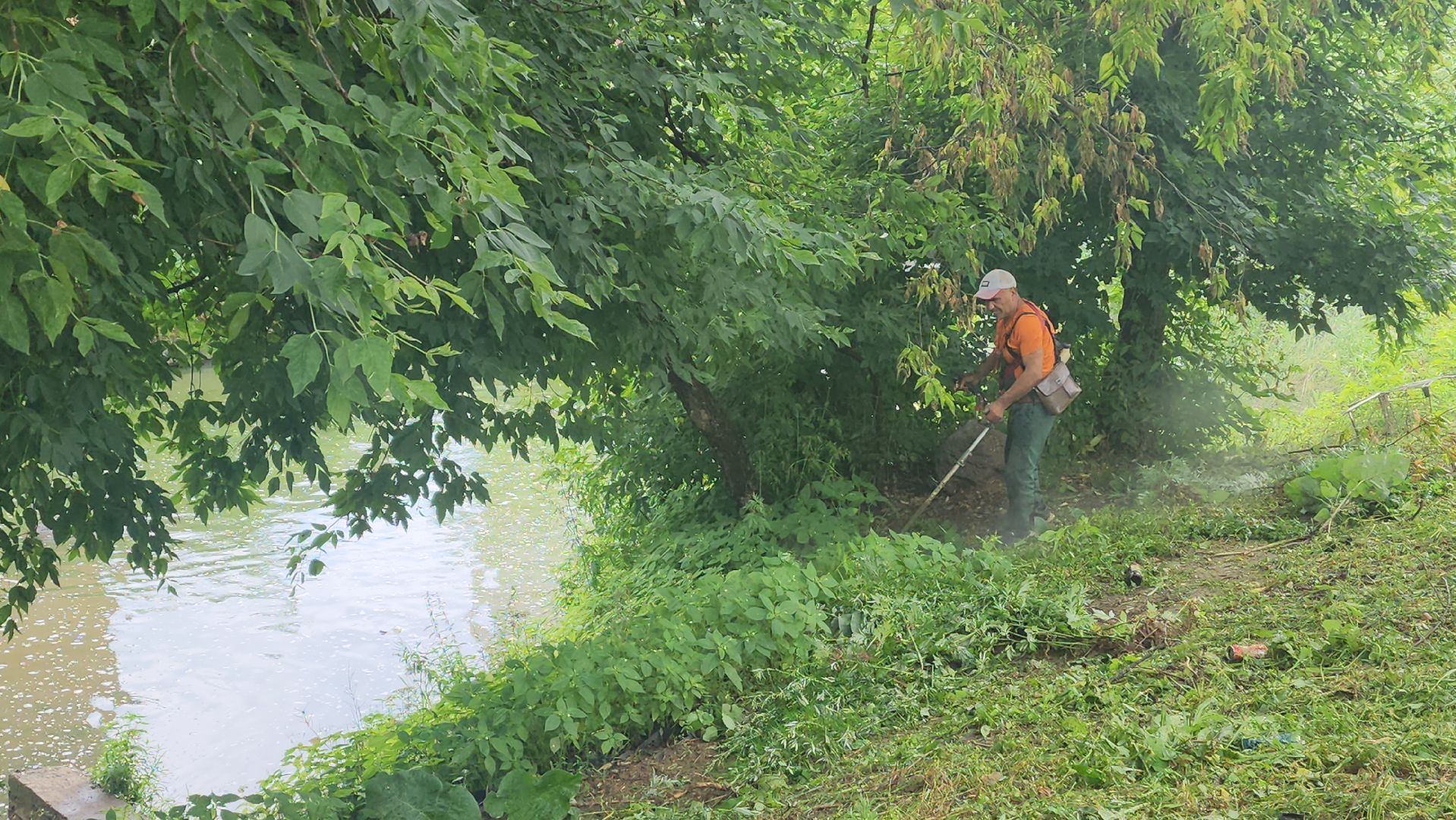вертикалки, пушкино, покос травы, уборка мусора, берег реки, коммунальная служба, экологический активизм, жители города,