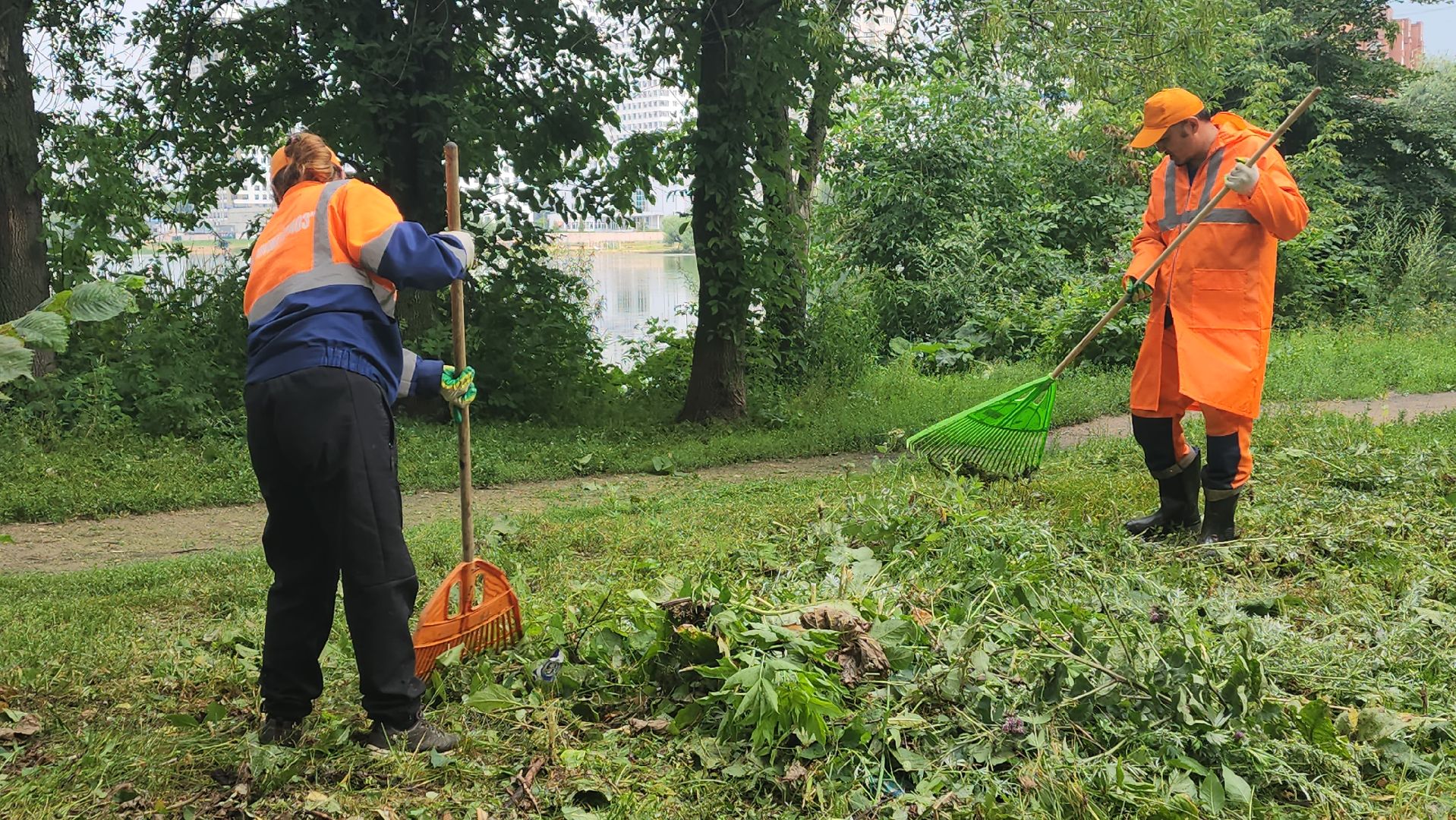 вертикалки, пушкино, покос травы, уборка мусора, берег реки, коммунальная служба, экологический активизм, жители города,