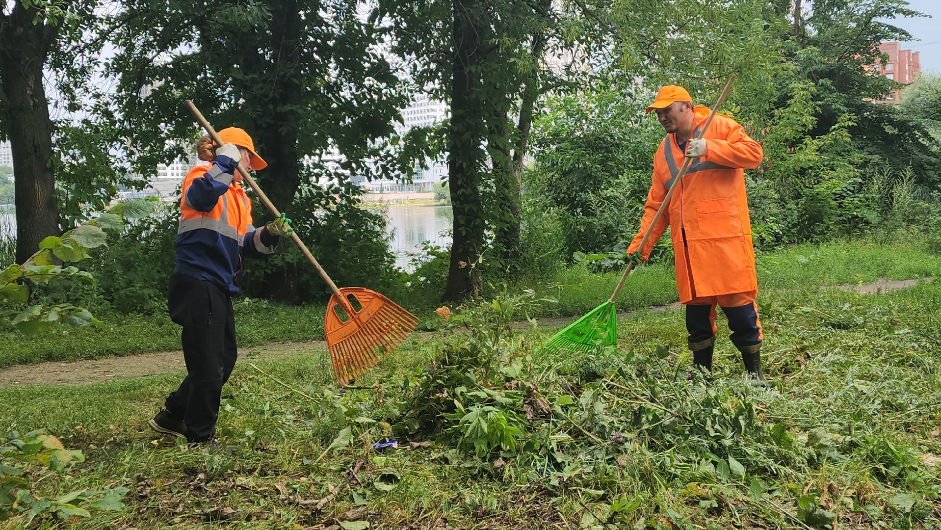 вертикалки, пушкино, покос травы, уборка мусора, берег реки, коммунальная служба, экологический активизм, жители города,