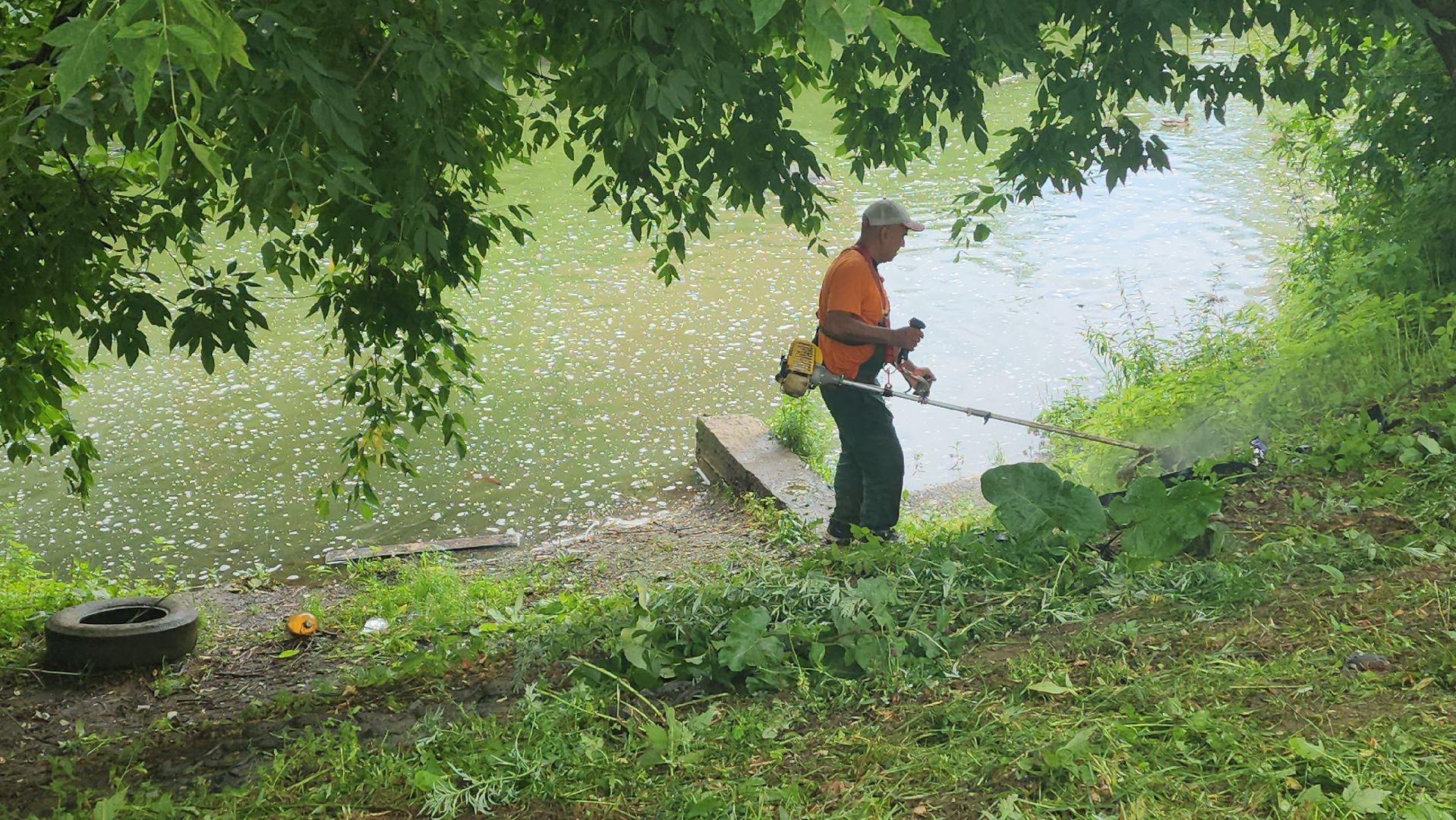 вертикалки, пушкино, покос травы, уборка мусора, берег реки, коммунальная служба, экологический активизм, жители города,