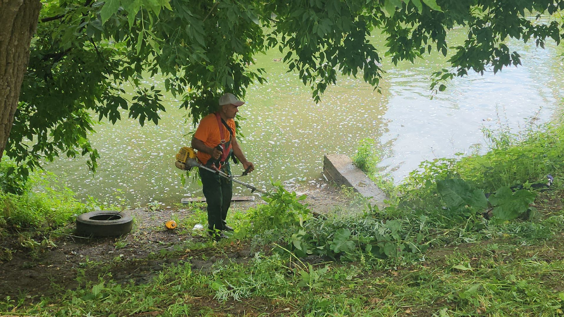 вертикалки, пушкино, покос травы, уборка мусора, берег реки, коммунальная служба, экологический активизм, жители города,