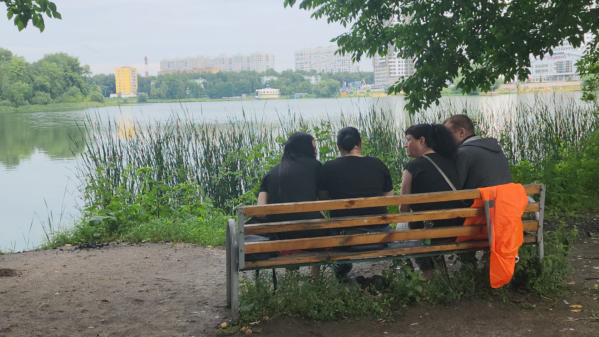 вертикалки, пушкино, покос травы, уборка мусора, берег реки, коммунальная служба, экологический активизм, жители города,