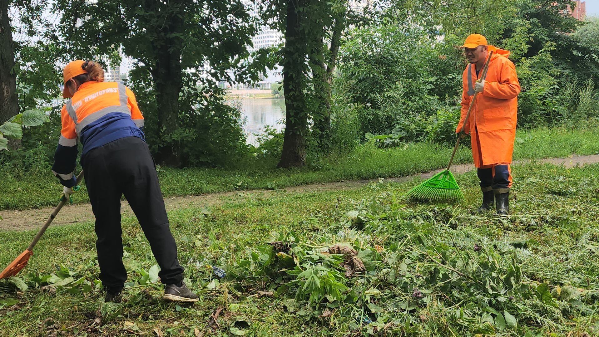 вертикалки, пушкино, покос травы, уборка мусора, берег реки, коммунальная служба, экологический активизм, жители города,