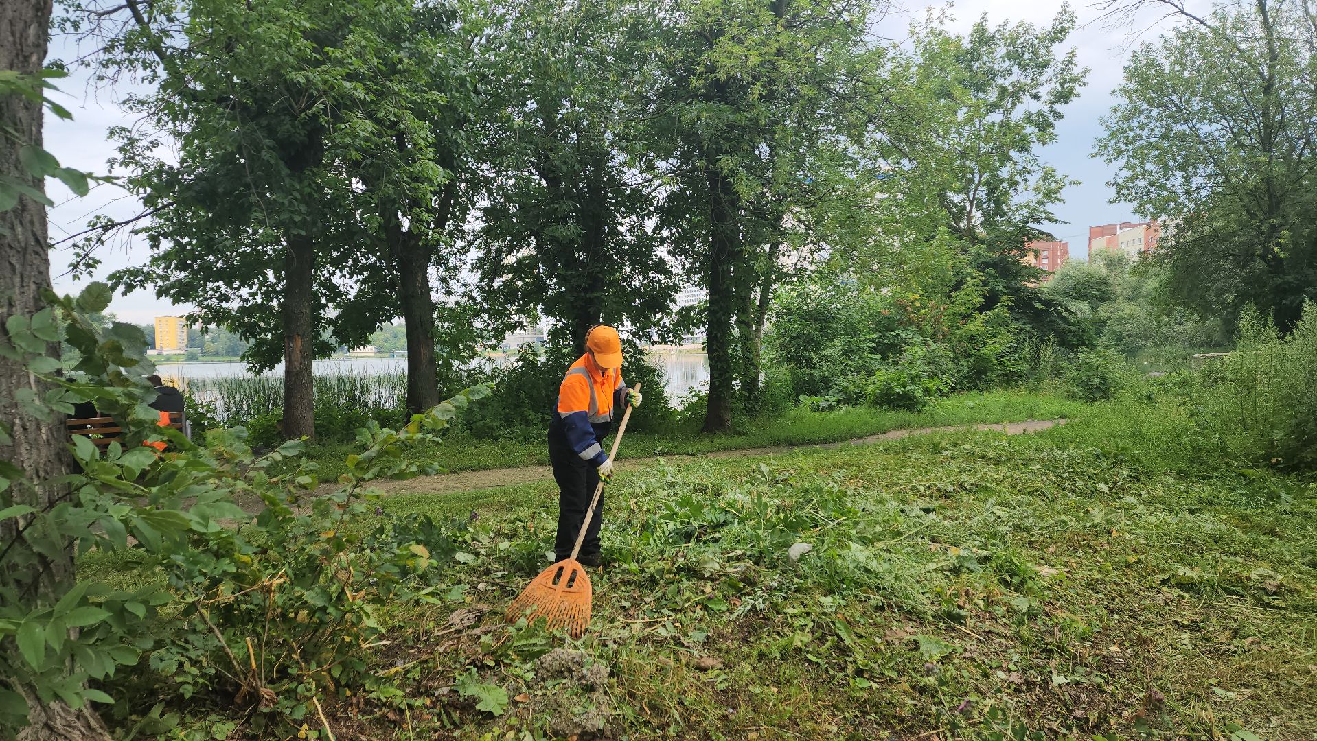 вертикалки, пушкино, покос травы, уборка мусора, берег реки, коммунальная служба, экологический активизм, жители города,