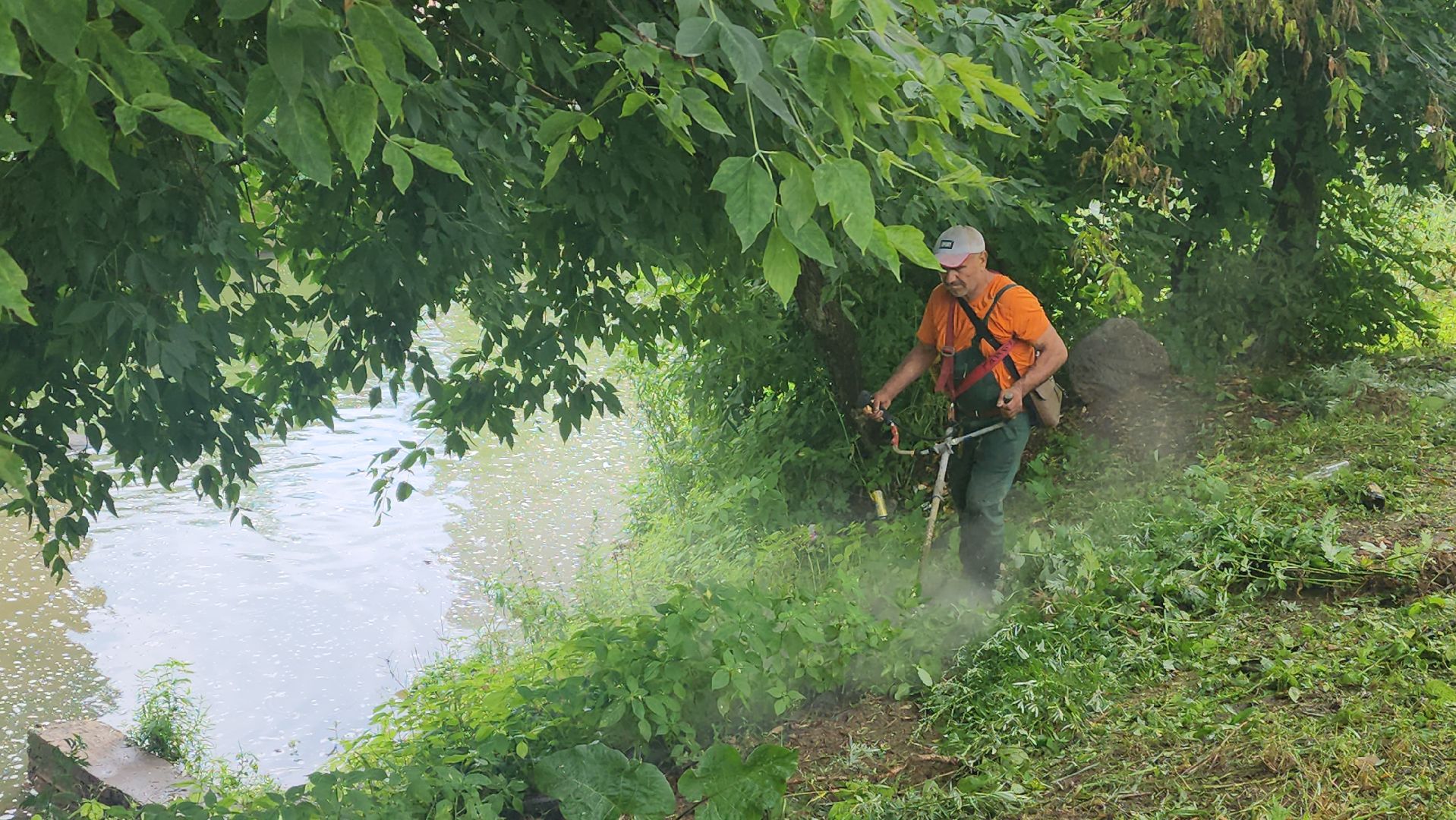 вертикалки, пушкино, покос травы, уборка мусора, берег реки, коммунальная служба, экологический активизм, жители города,
