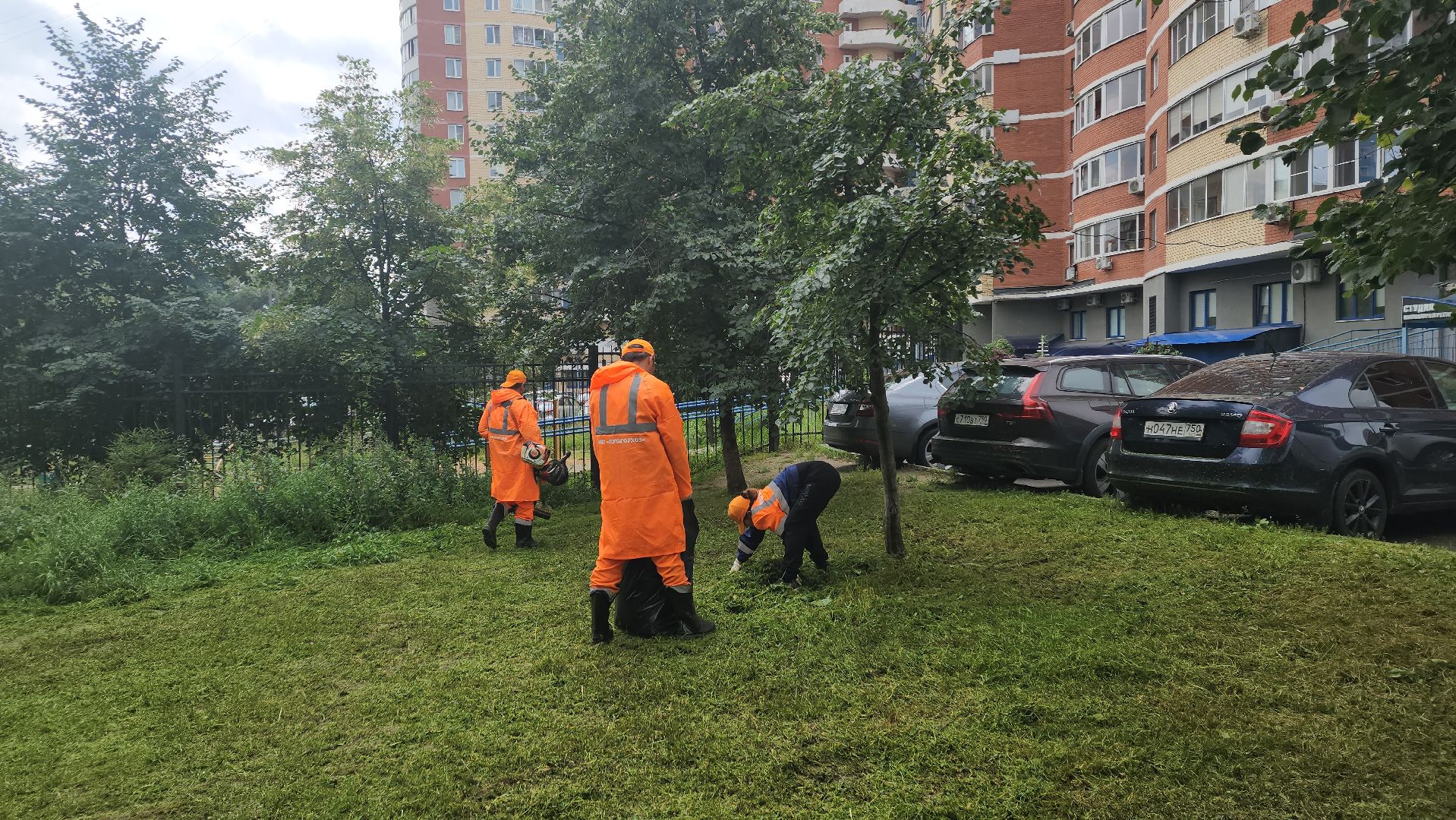 вертикалки, пушкино, покос травы, уборка мусора, берег реки, коммунальная служба, экологический активизм, жители города,
