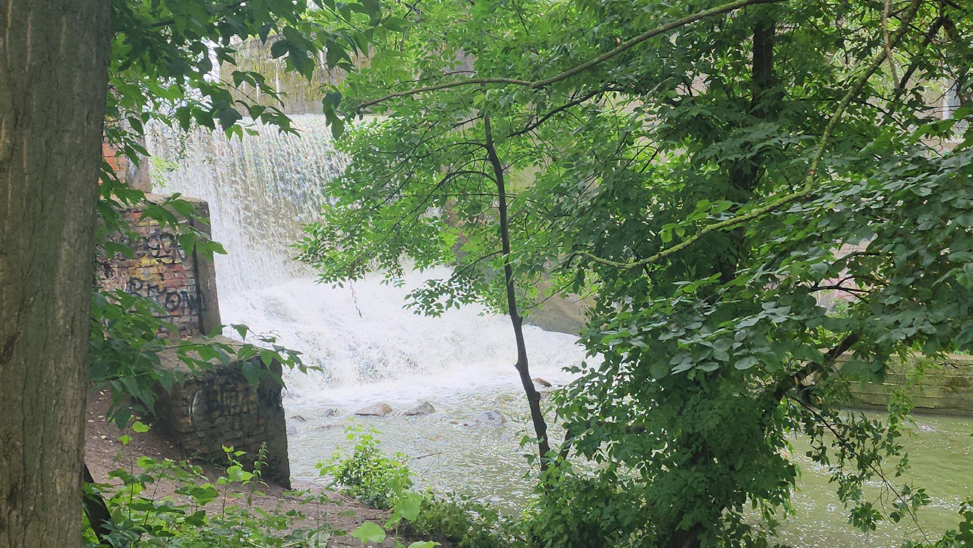 вертикалки, пушкино, покос травы, уборка мусора, берег реки, коммунальная служба, экологический активизм, жители города,