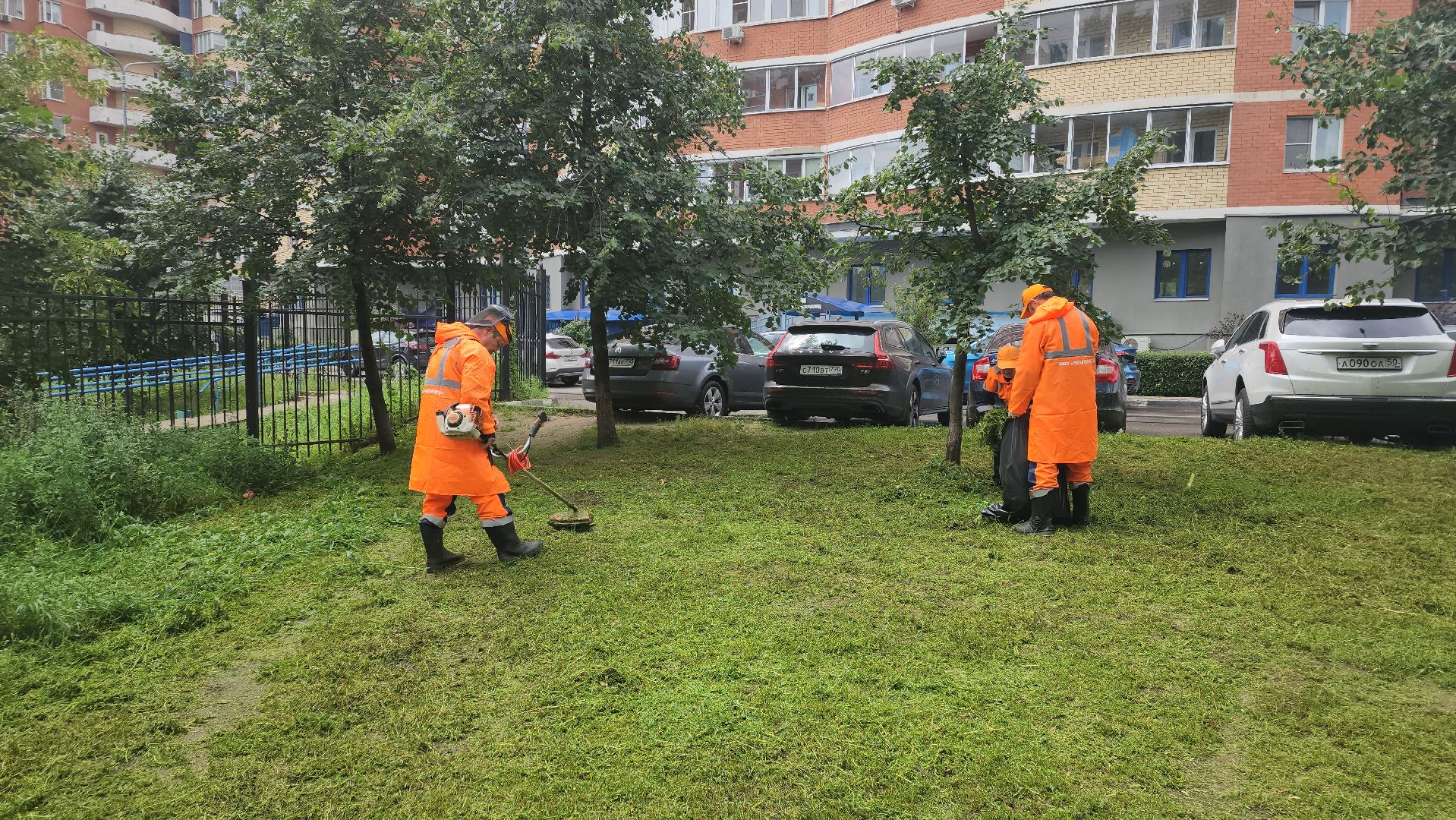 вертикалки, пушкино, покос травы, уборка мусора, берег реки, коммунальная служба, экологический активизм, жители города,