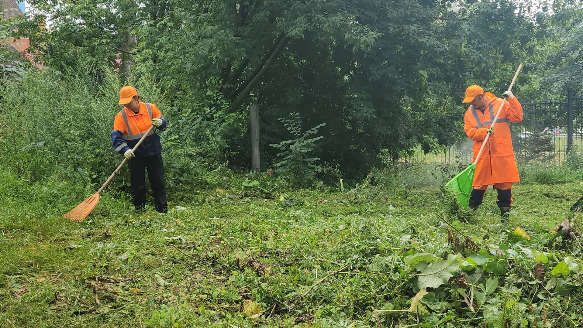 вертикалки, пушкино, покос травы, уборка мусора, берег реки, коммунальная служба, экологический активизм, жители города,