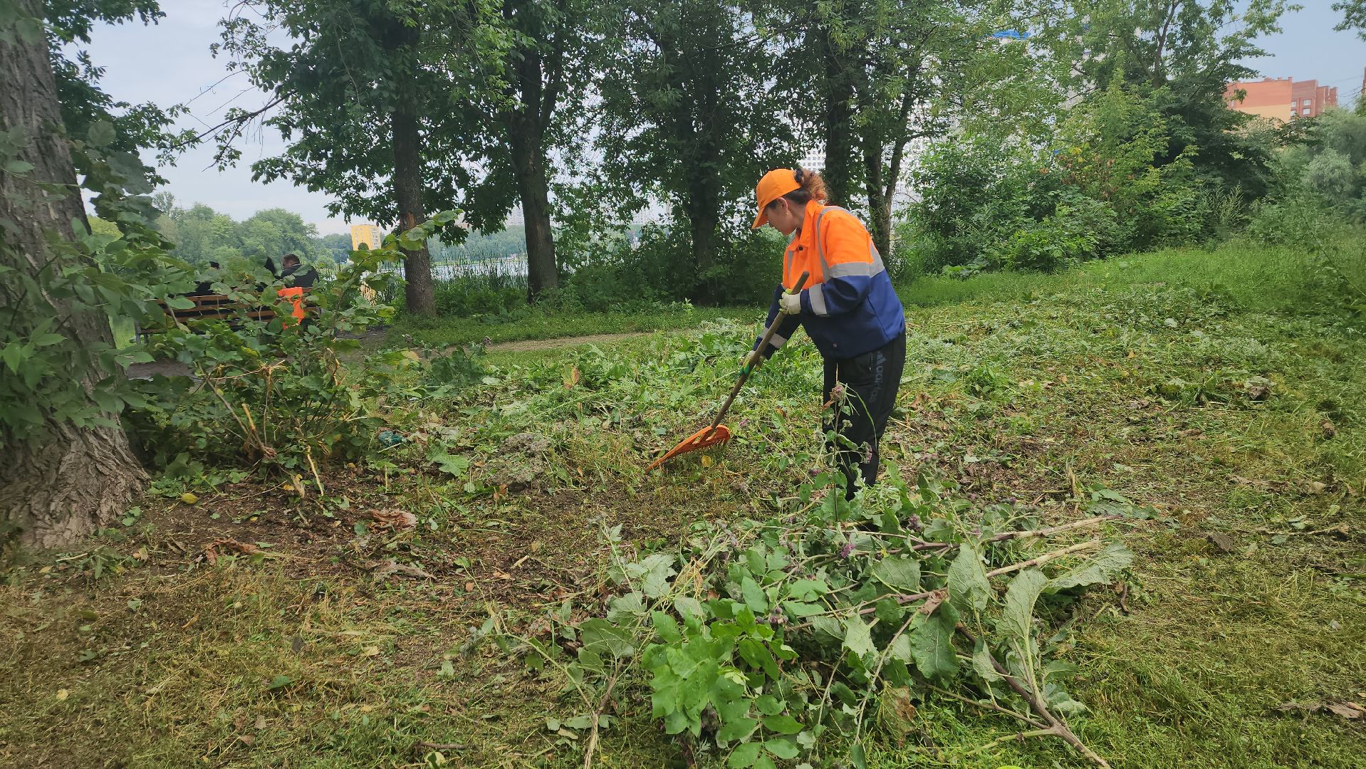 вертикалки, пушкино, покос травы, уборка мусора, берег реки, коммунальная служба, экологический активизм, жители города,