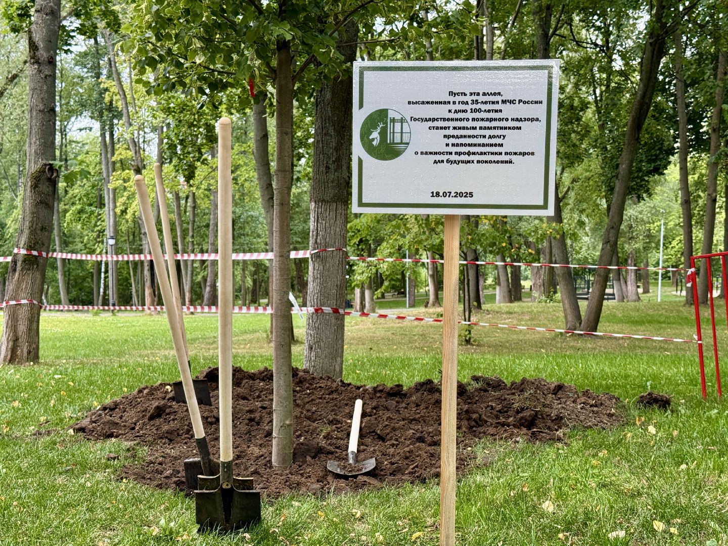 мчс россии, спасатели, высадка деревьев, раменский парк,