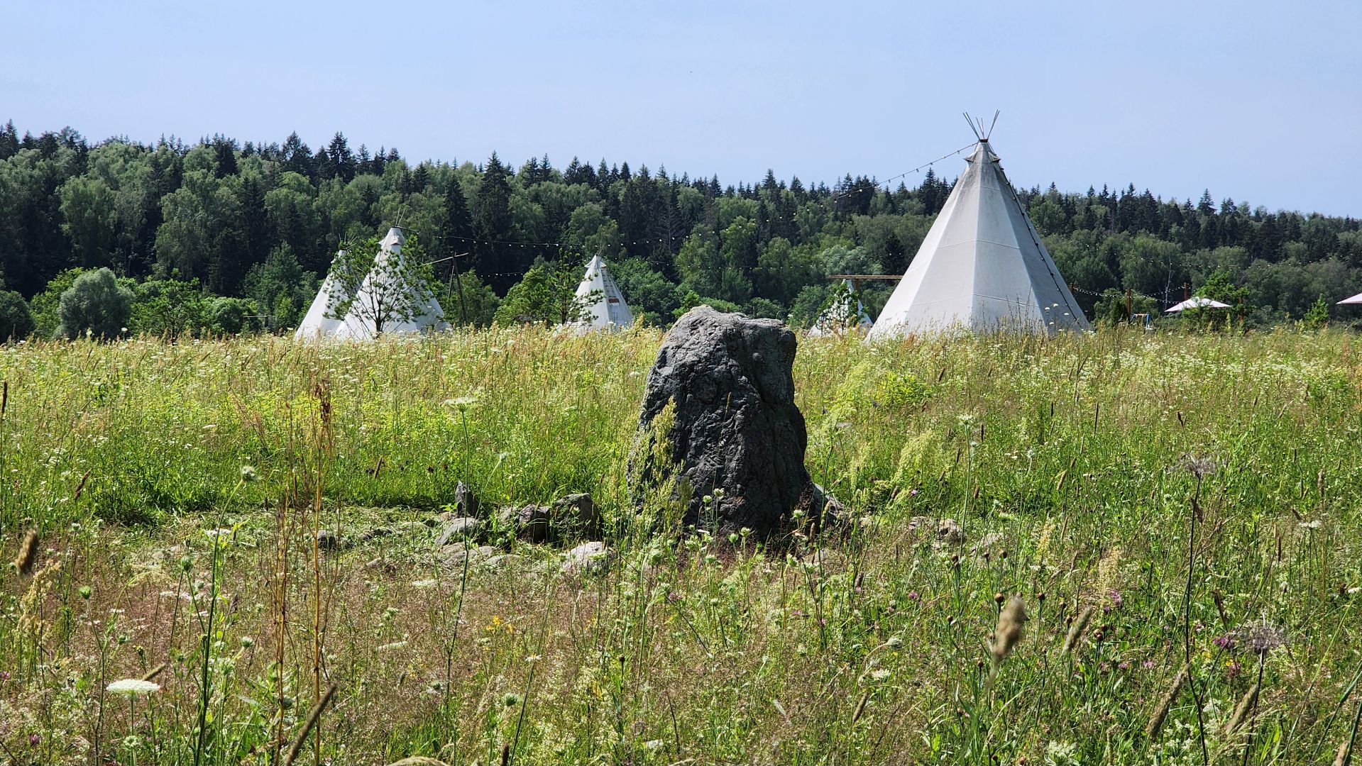 руза, хаски-деревня, рузская аляска, камень желаний,