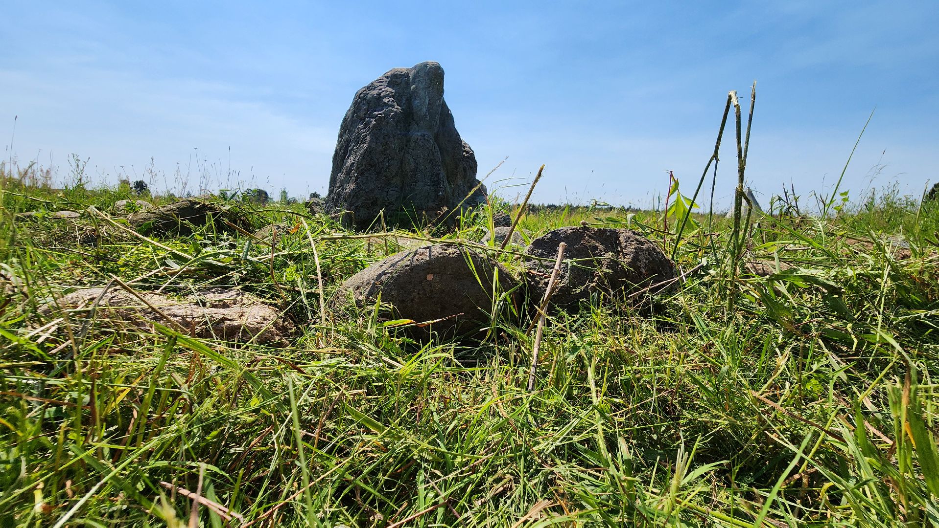 руза, хаски-деревня, рузская аляска, камень желаний,