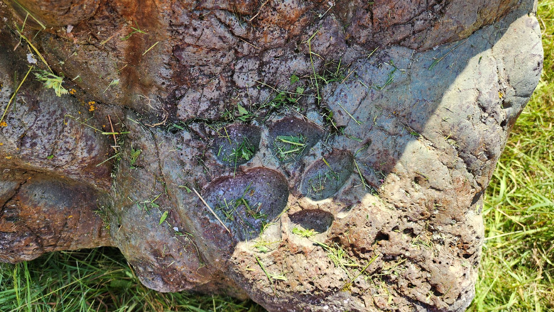 руза, хаски-деревня, рузская аляска, камень желаний,