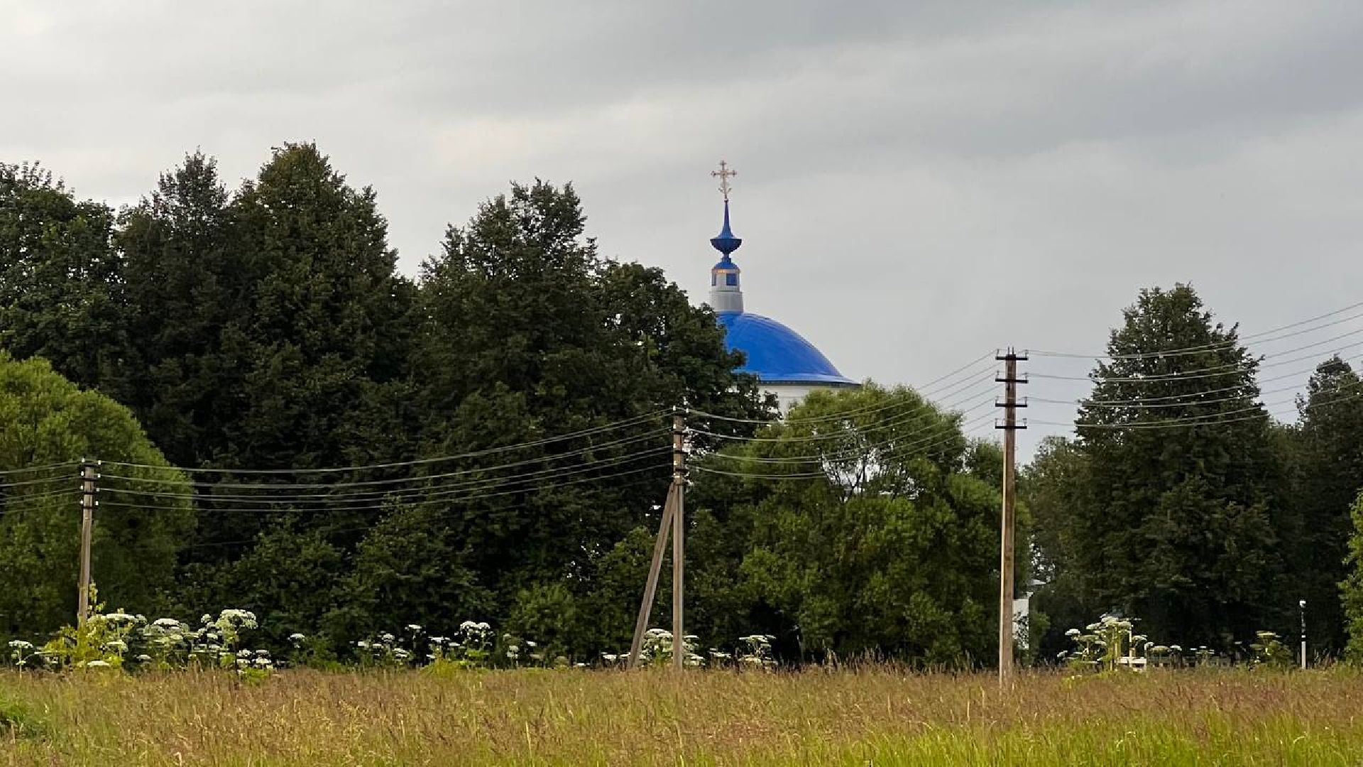 сергиево-посадский городской округ, закубежье, борьба с борщевиком, жители,
