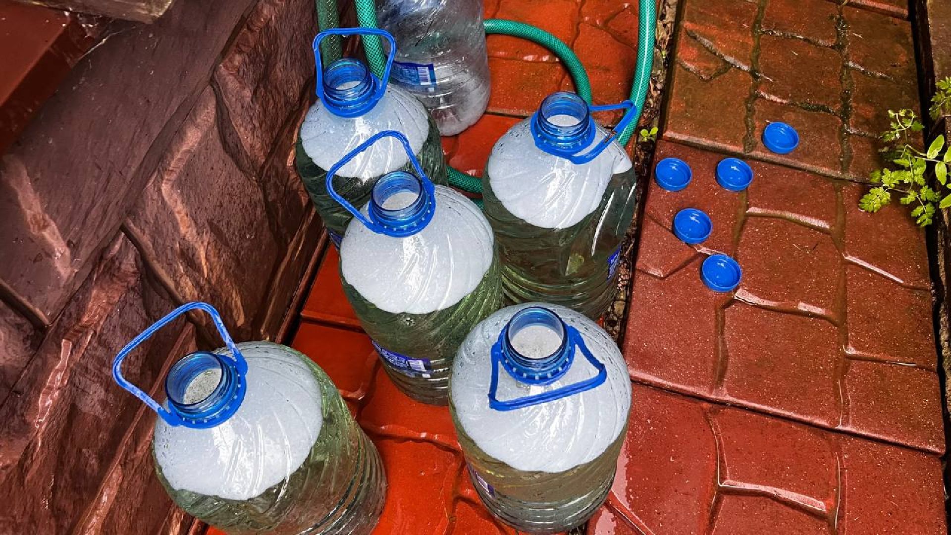 сергиево-посадский городской округ, закубежье, борьба с борщевиком, жители,