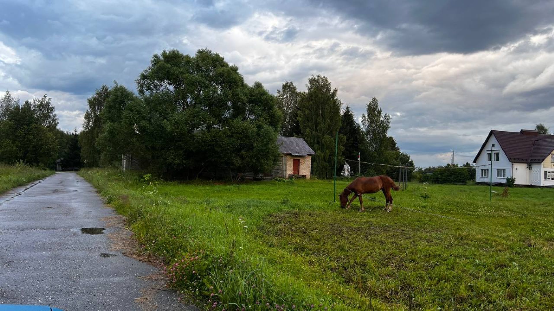 сергиево-посадский городской округ, закубежье, борьба с борщевиком, жители,