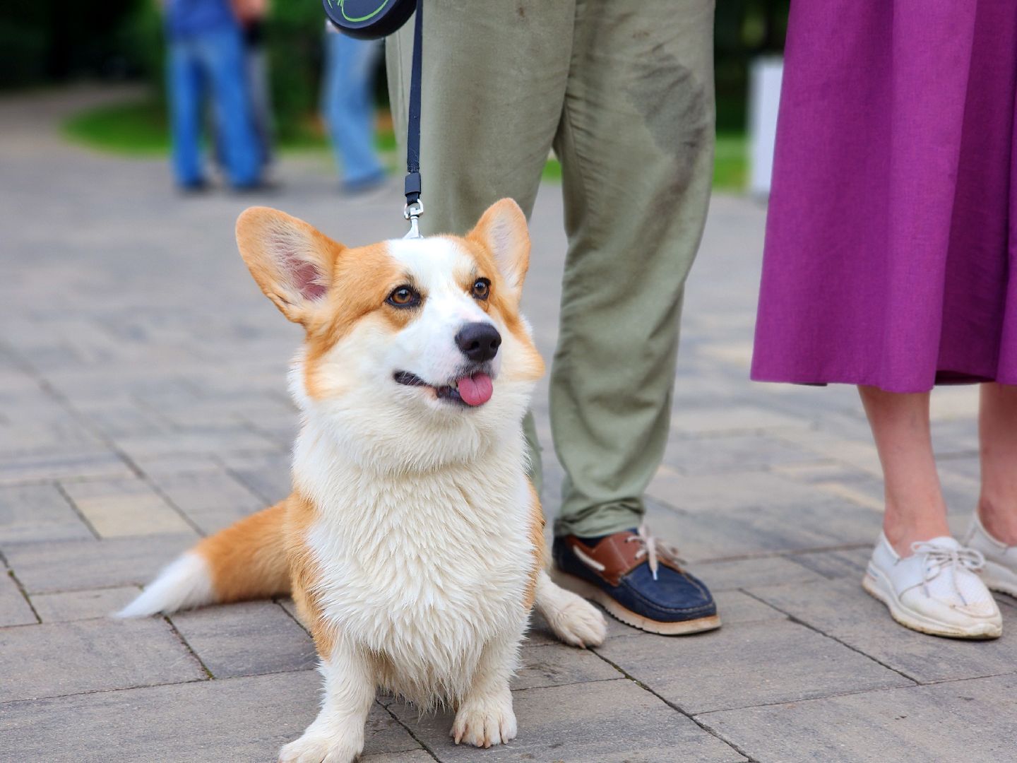 дубна, улица, музыканты, живой звук, социальный проект,