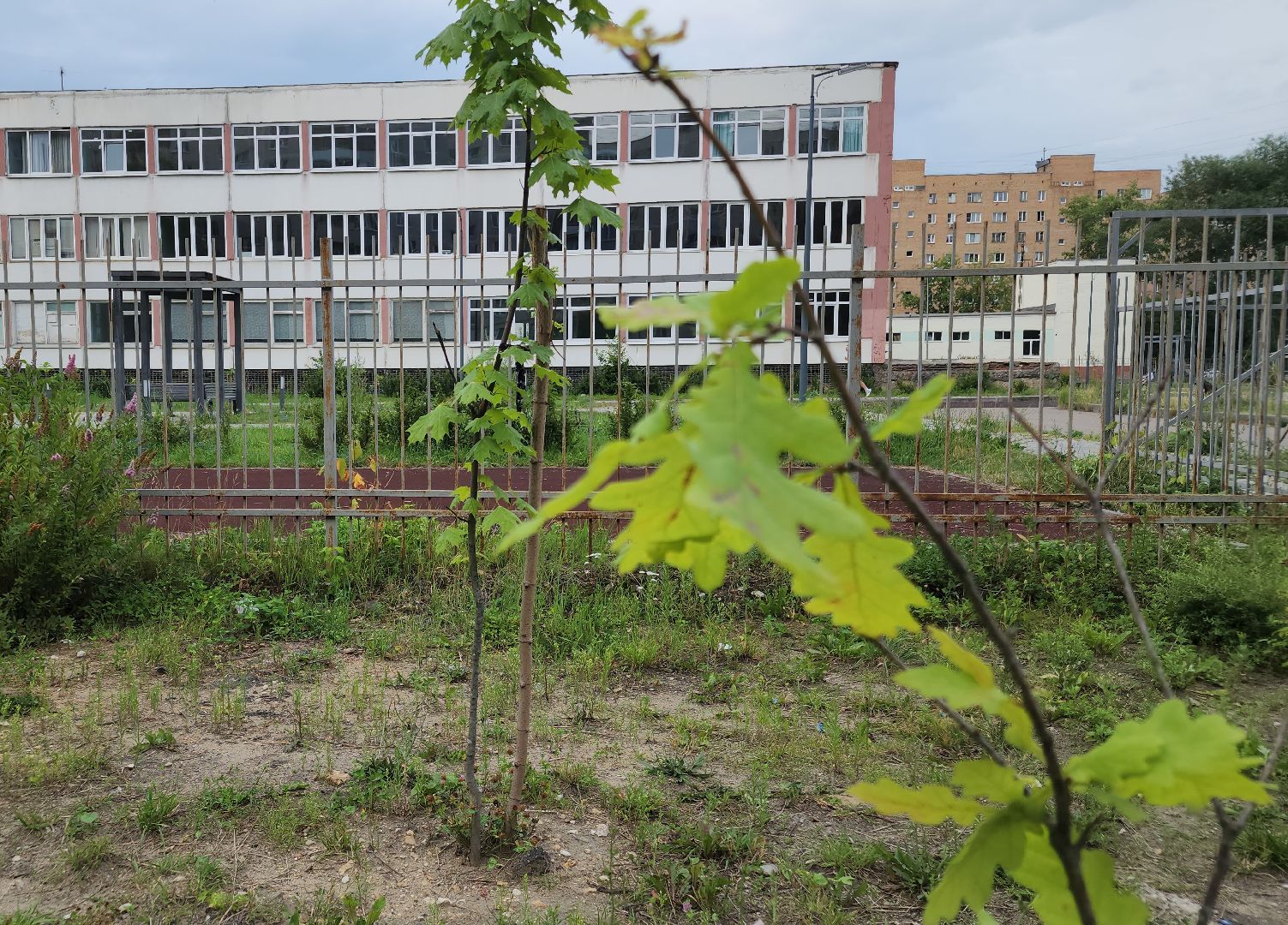 выездная администрация, орехово-зуево, благоустройство,